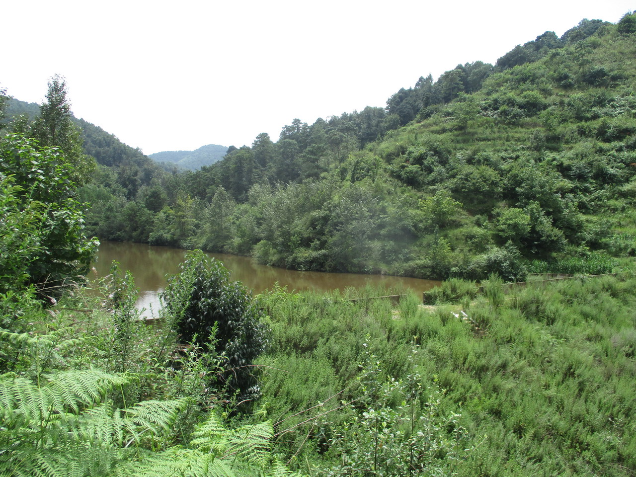 耿家田水库