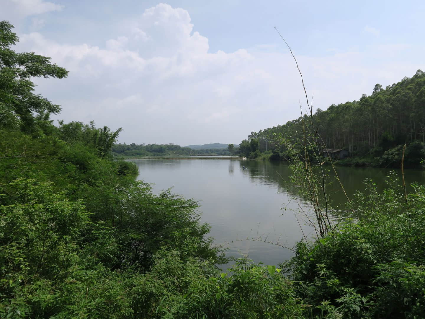 东坑塘水库