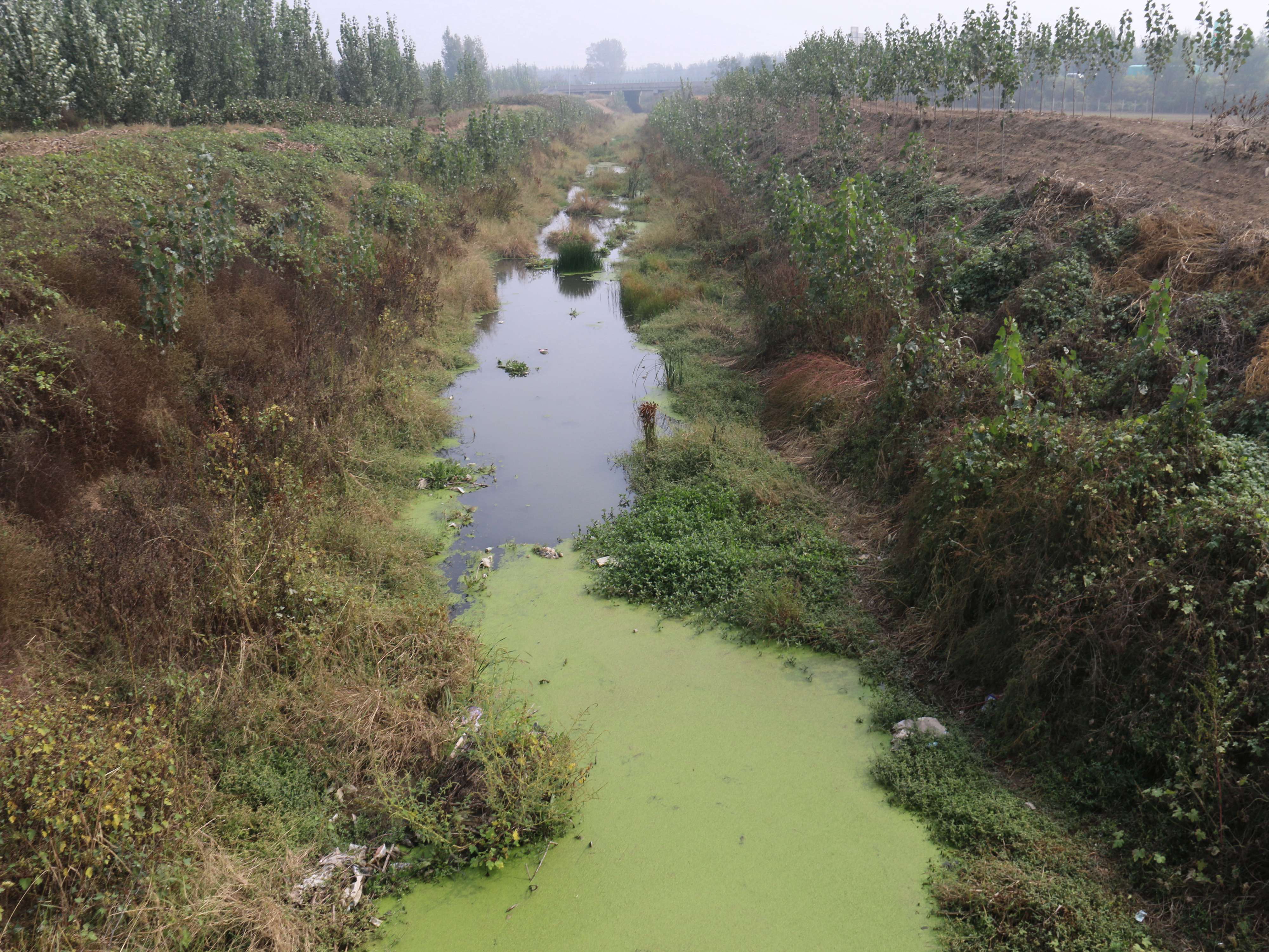 陆村涝河