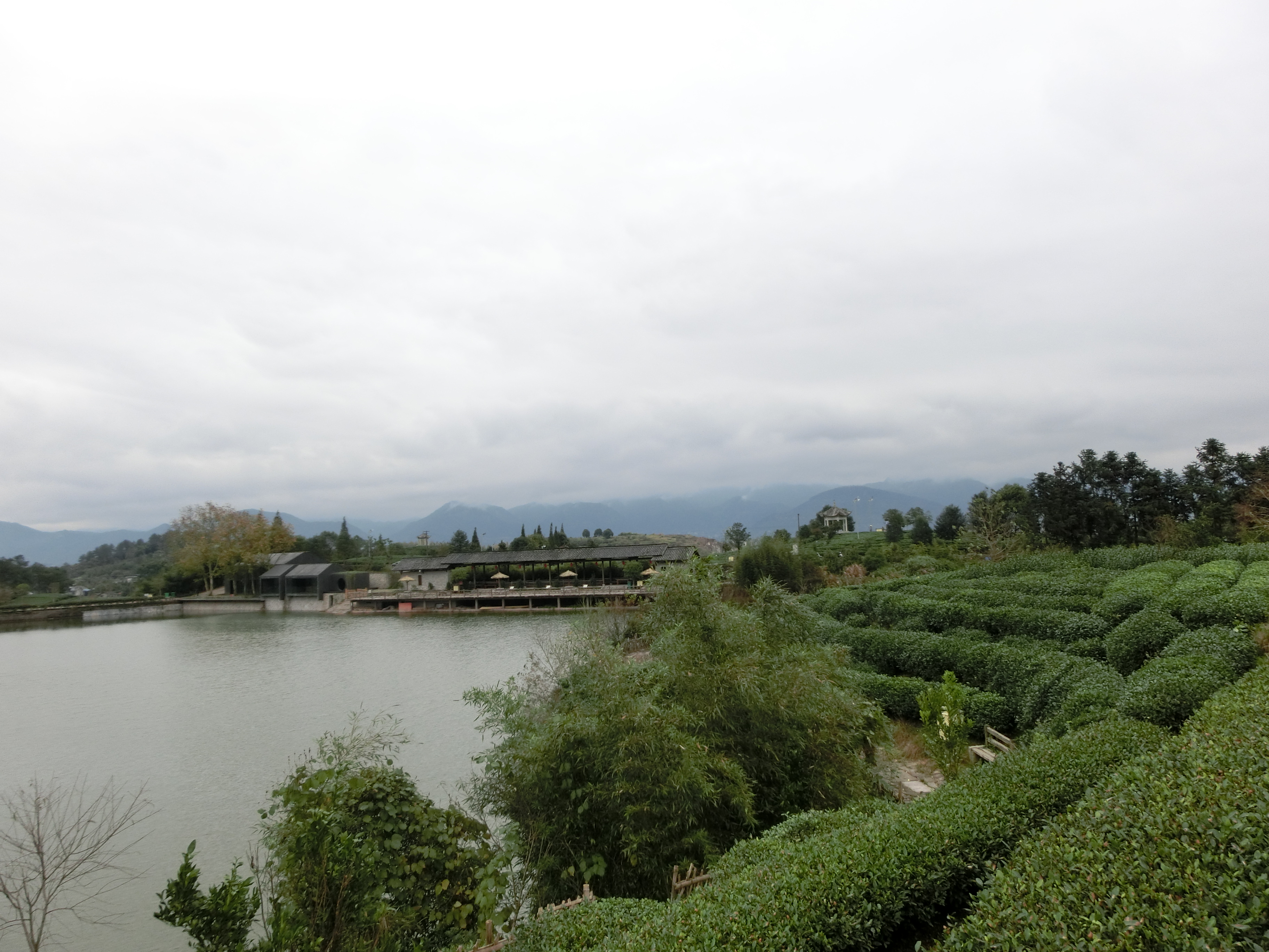 大木山骑行茶园景区