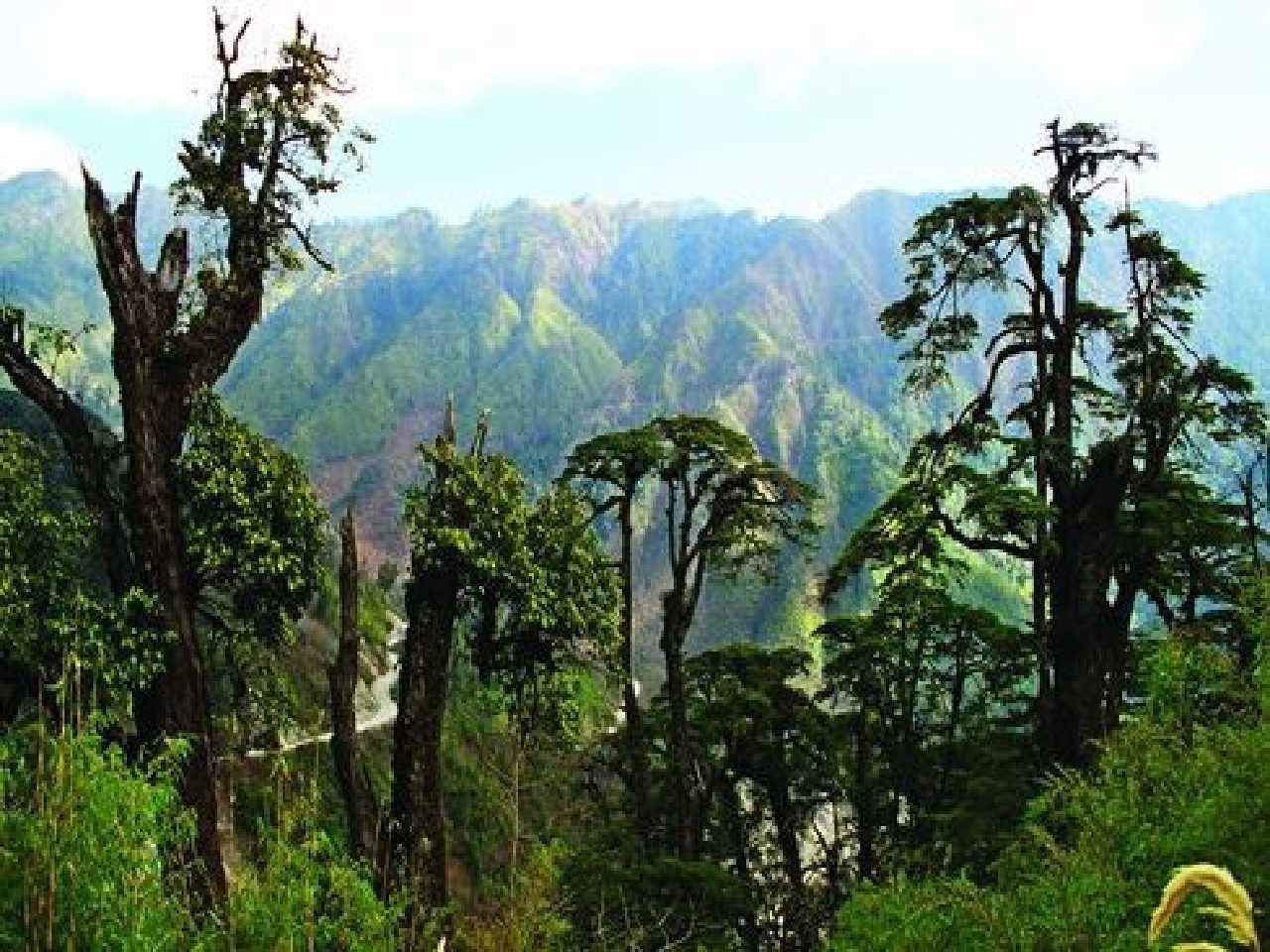 云南高黎贡山国家级自然保护区贡山片区