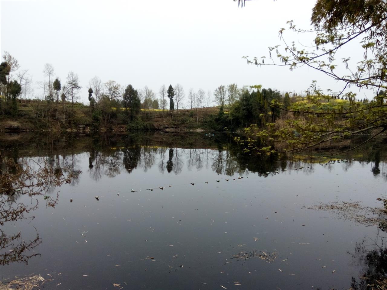 梨子冲水库