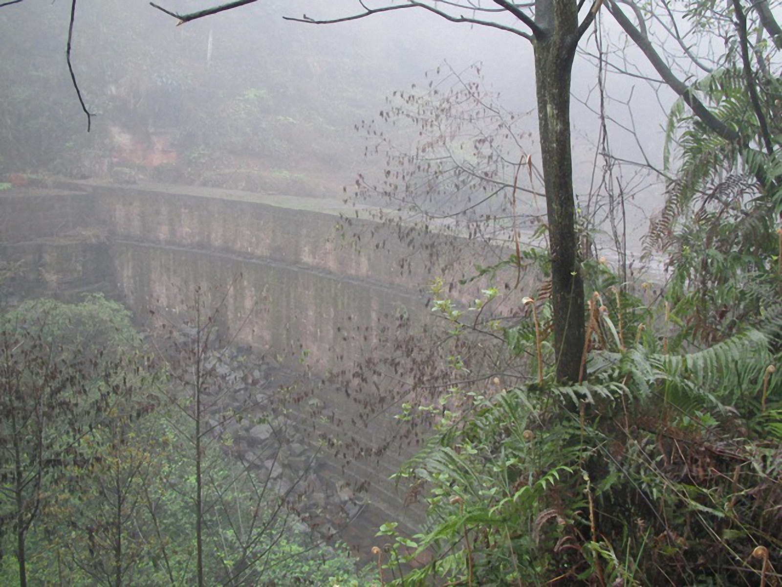 水塔溪水库