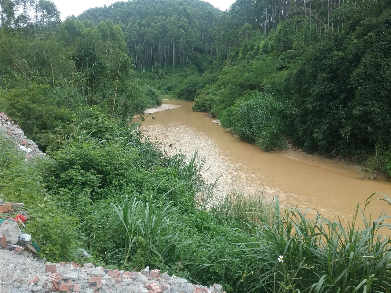 沙江河