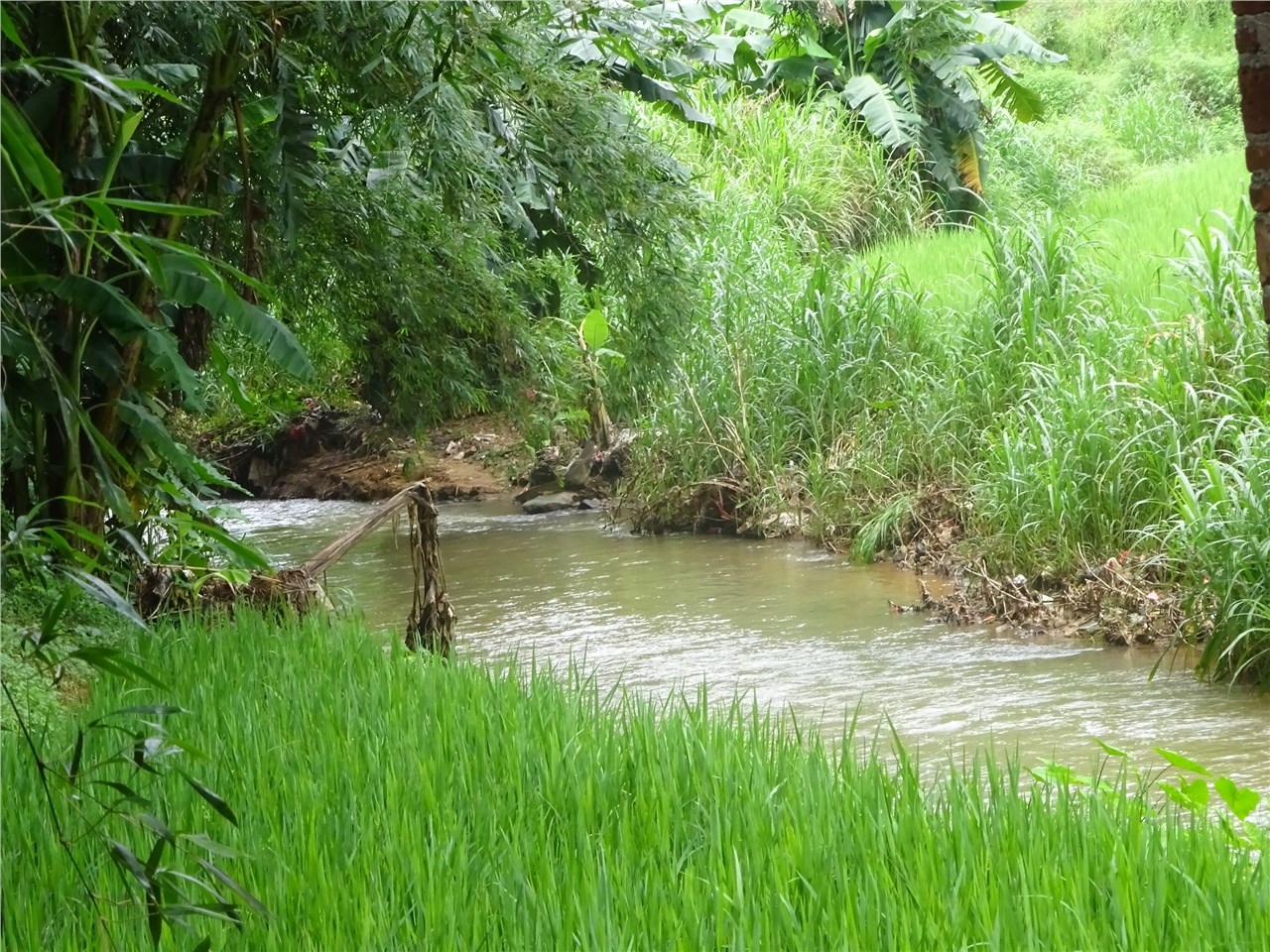 蒙江河