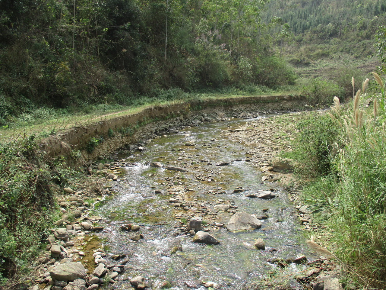 纳非河纳非河湾