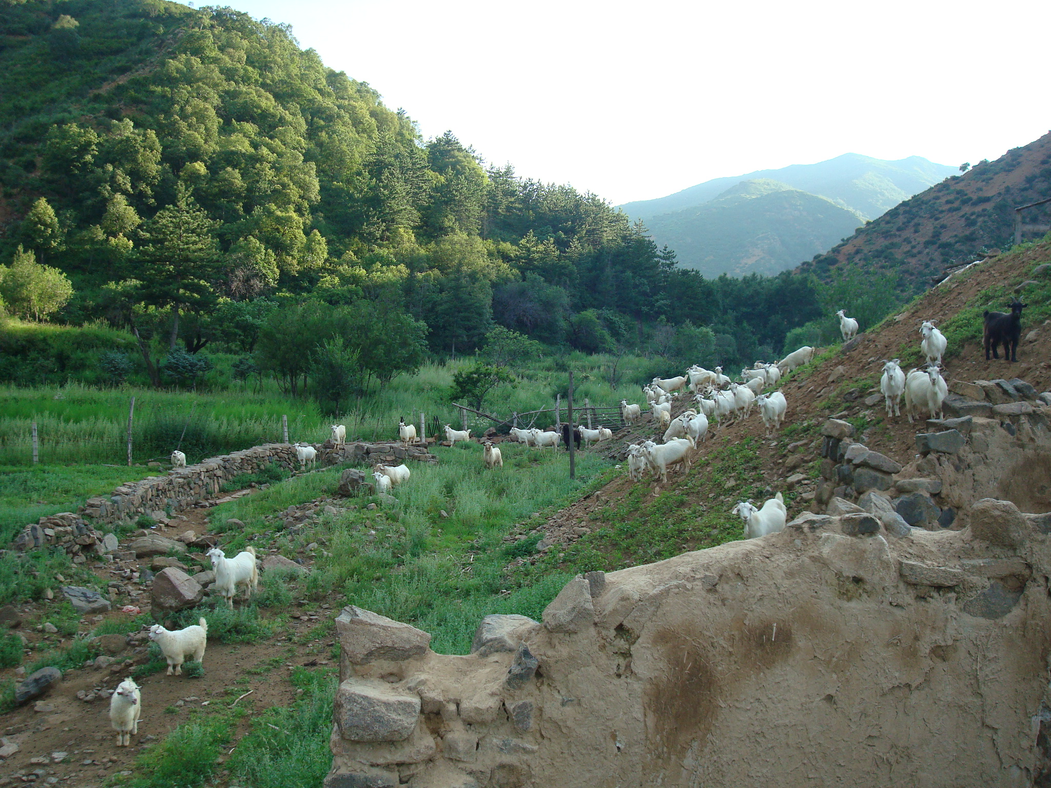 桂沟山自然风景区