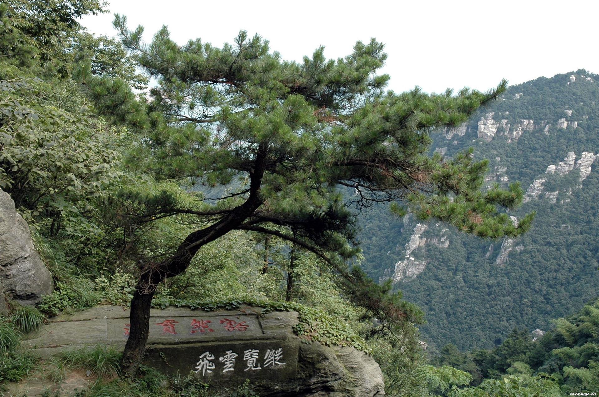 仙人洞管理所劲松景点