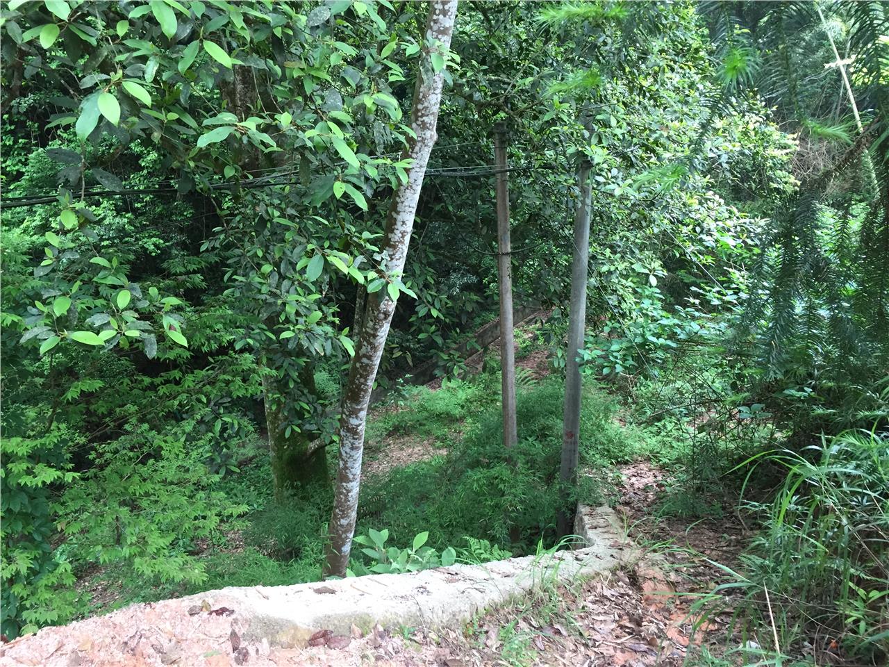 大山弯风景区