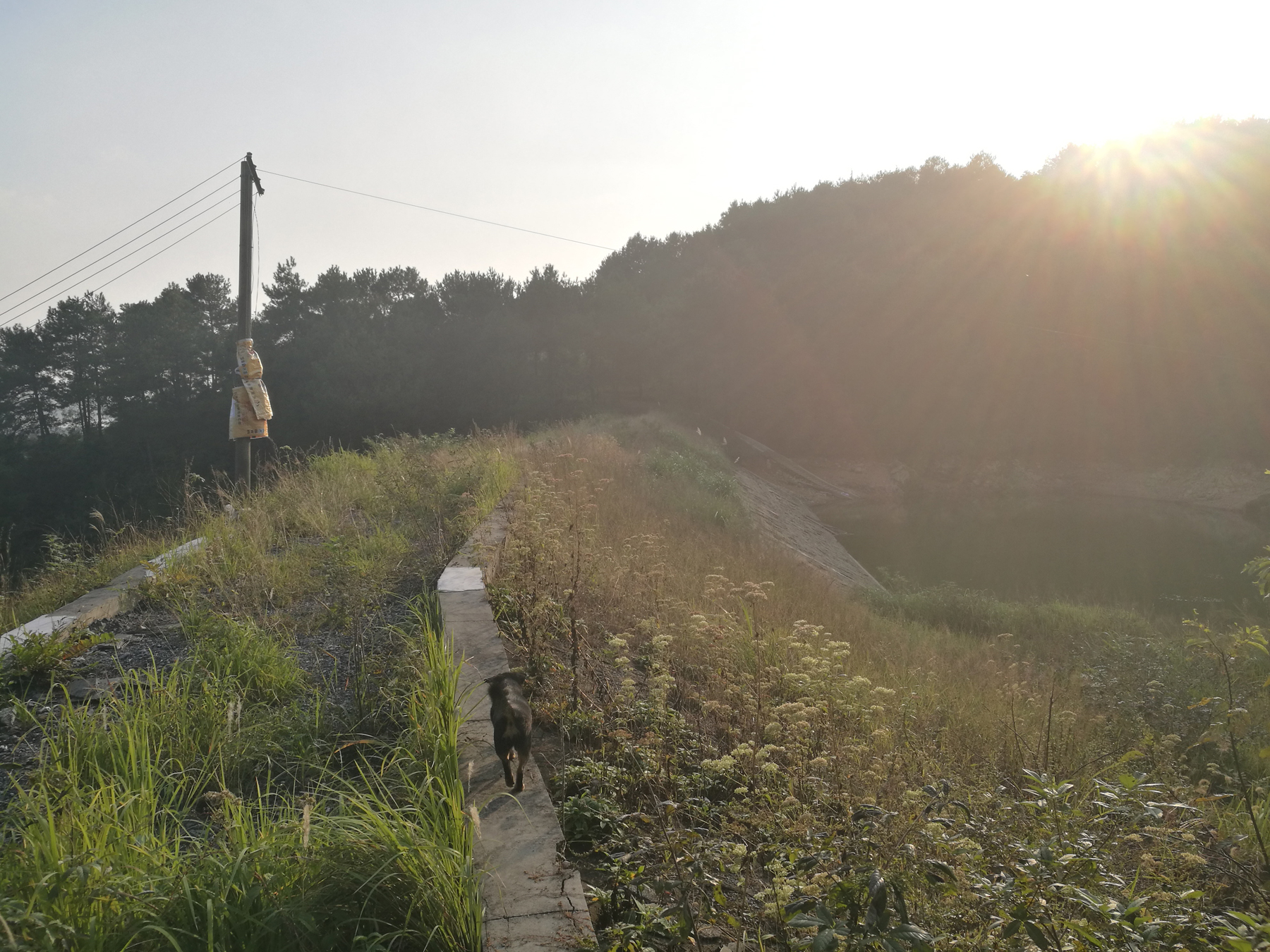 陈家垅水库