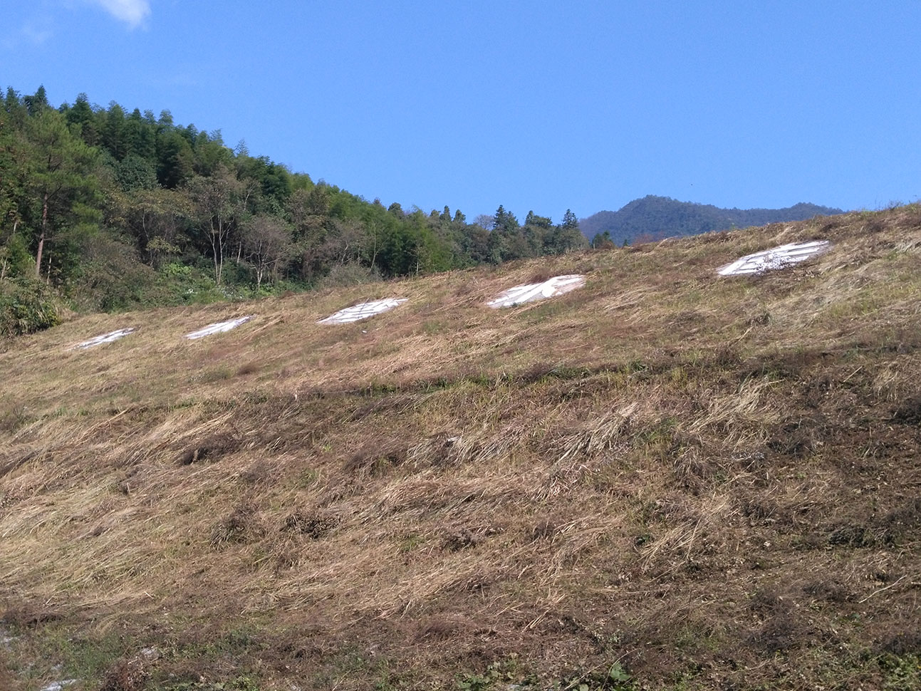 井水湾水库