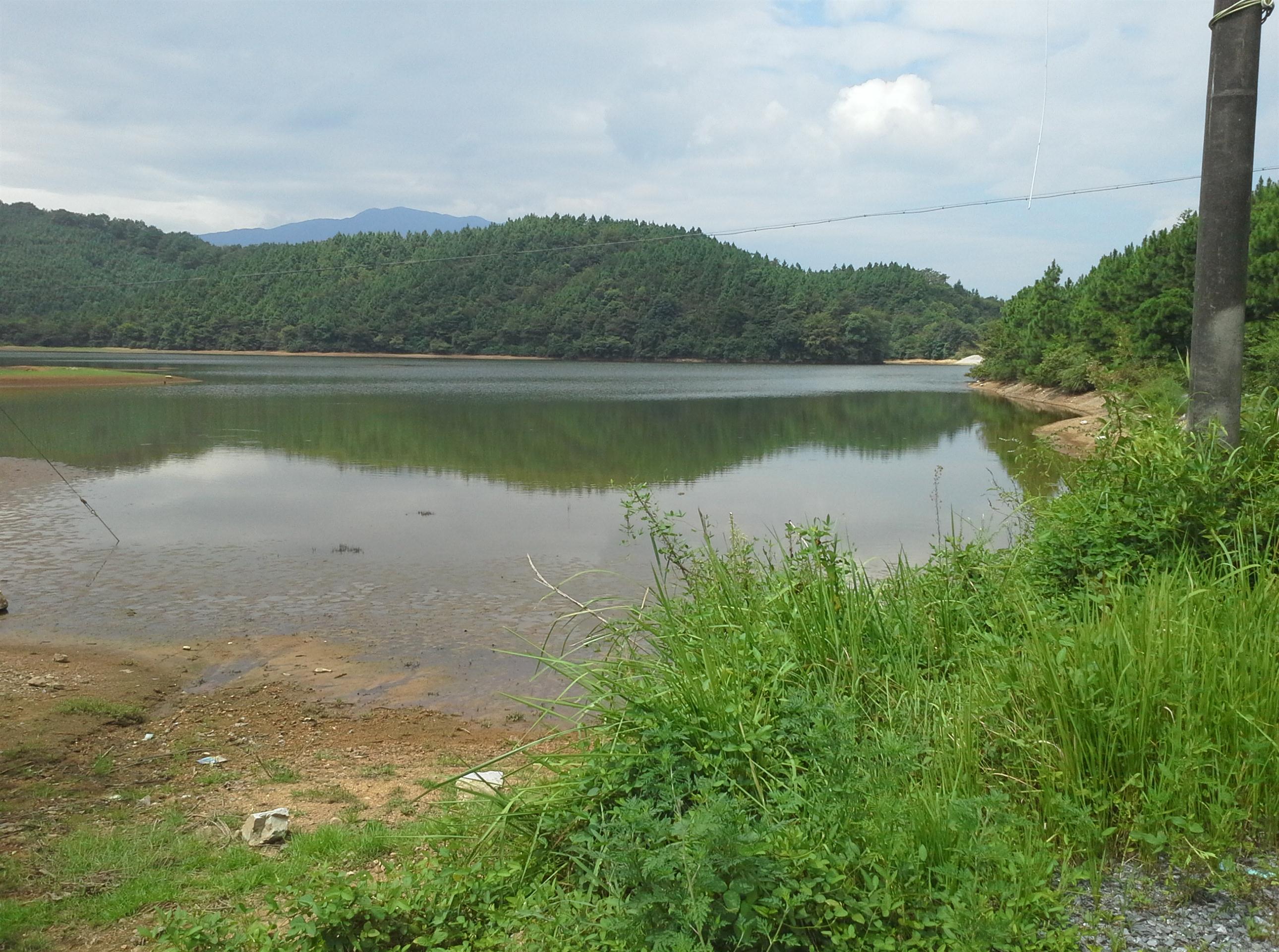 枫树坑水库