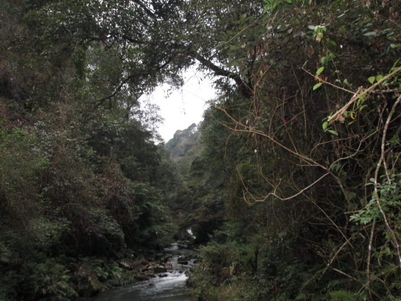 下涧溪峡谷