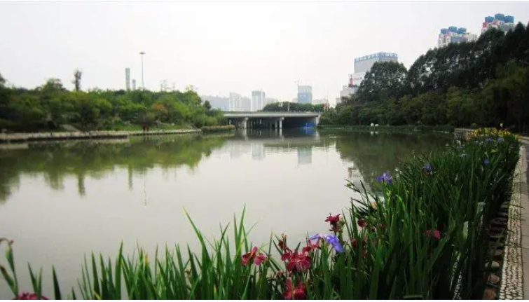 竹排冲
