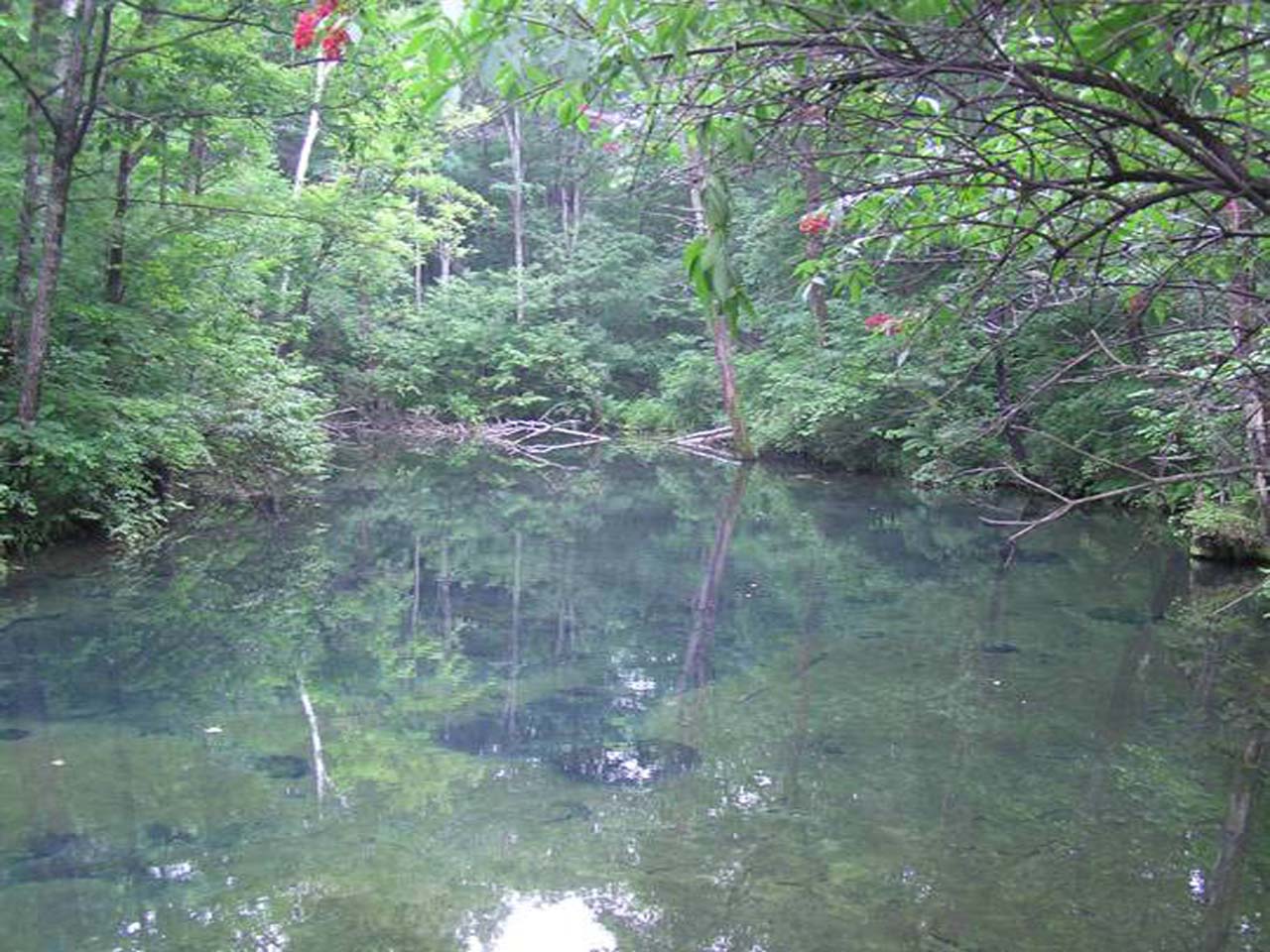 奶头河泉