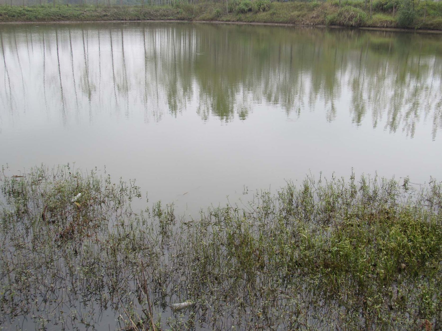 向阳水库