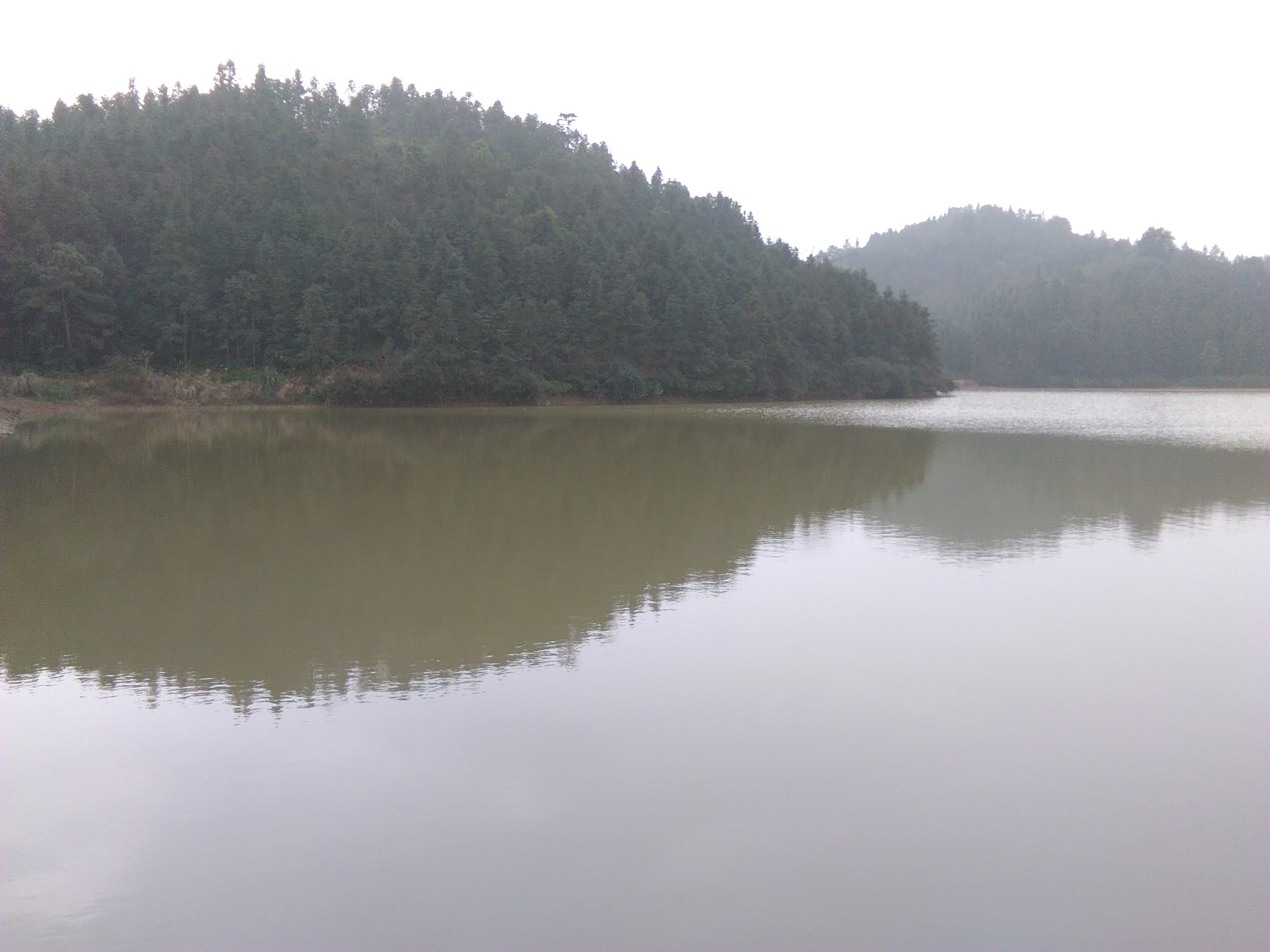 虎饮坑山塘