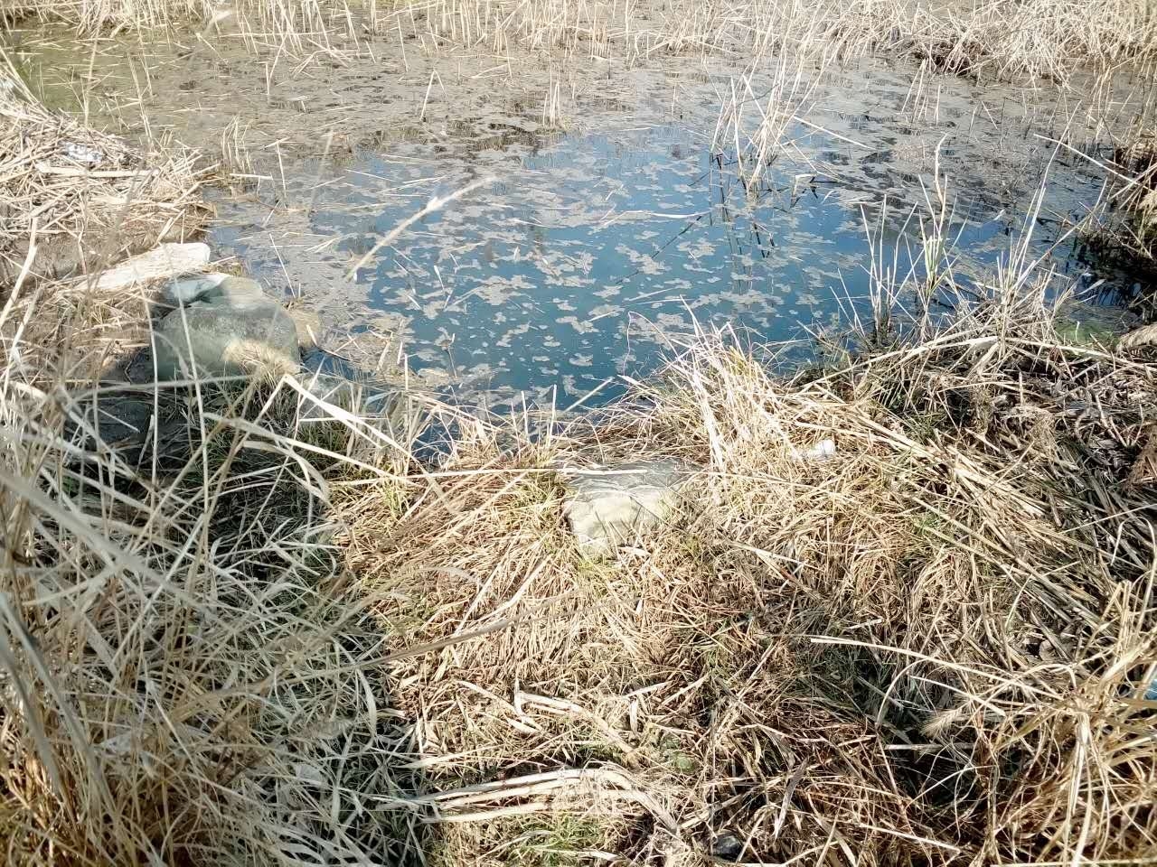 上阳沟泉