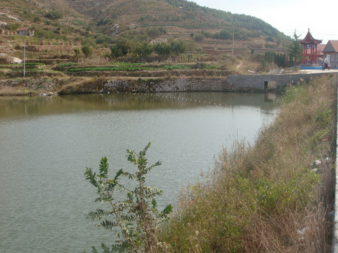 里口南沟水库