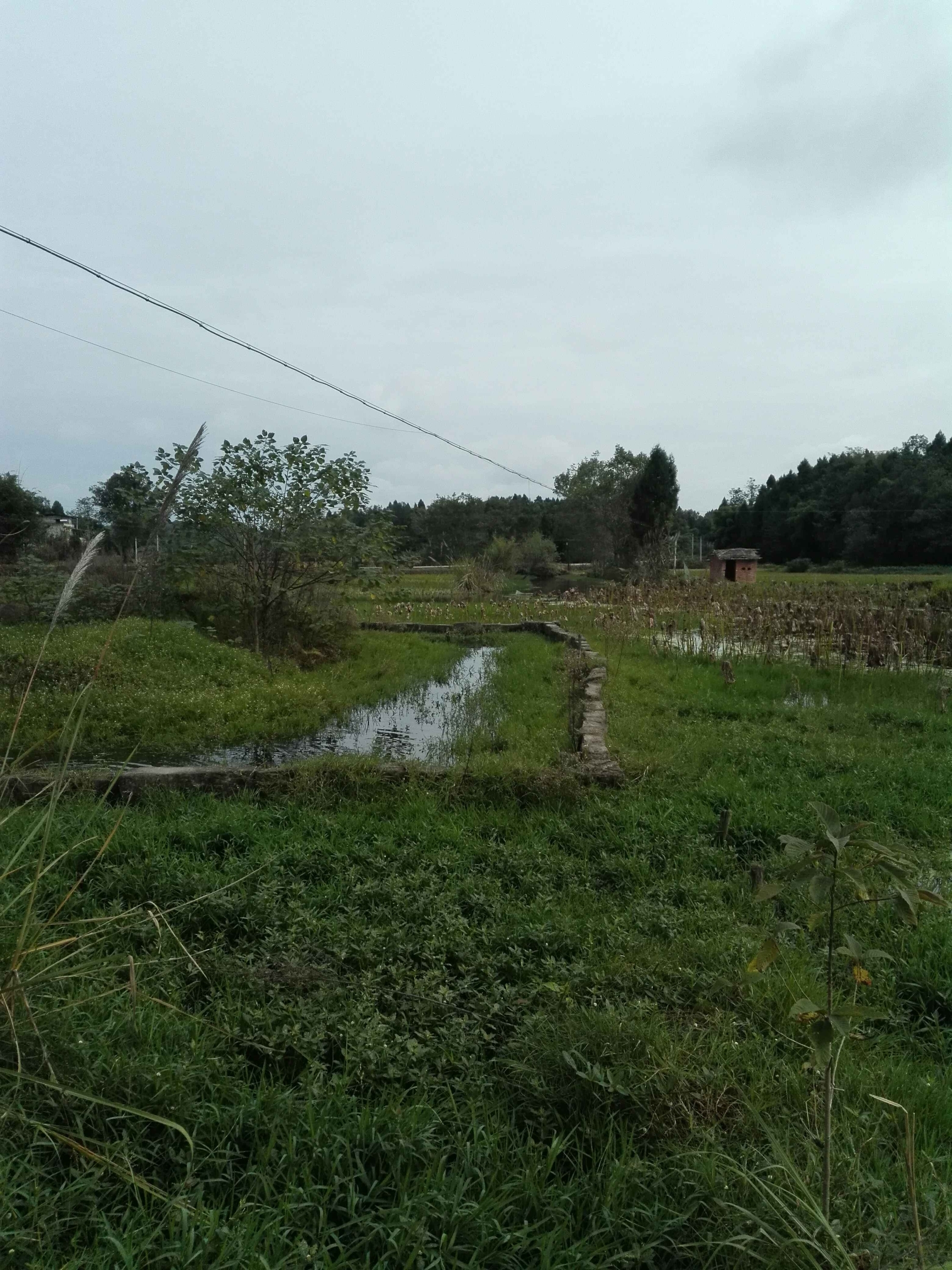 建政村大河堰