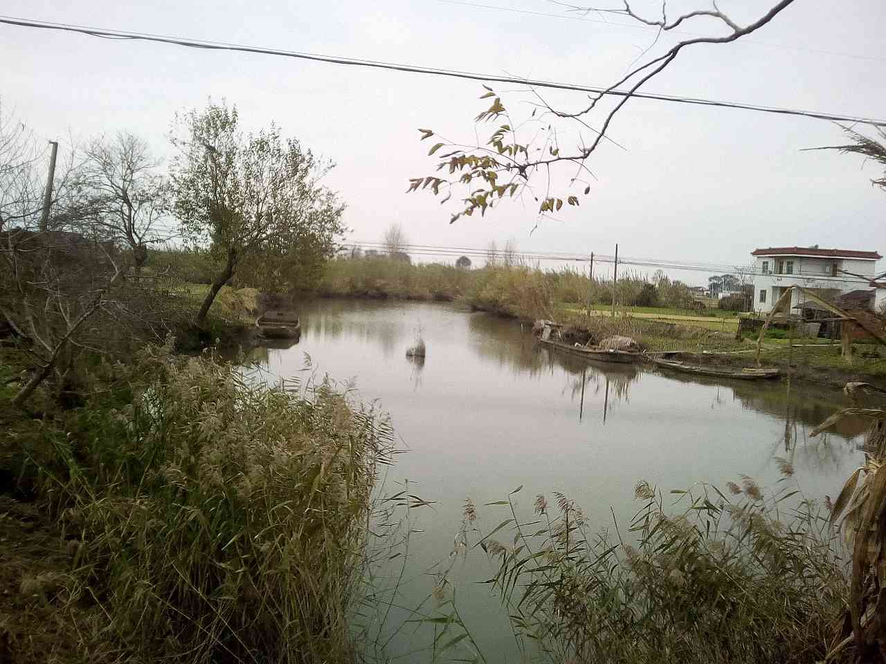 鹿汪北河