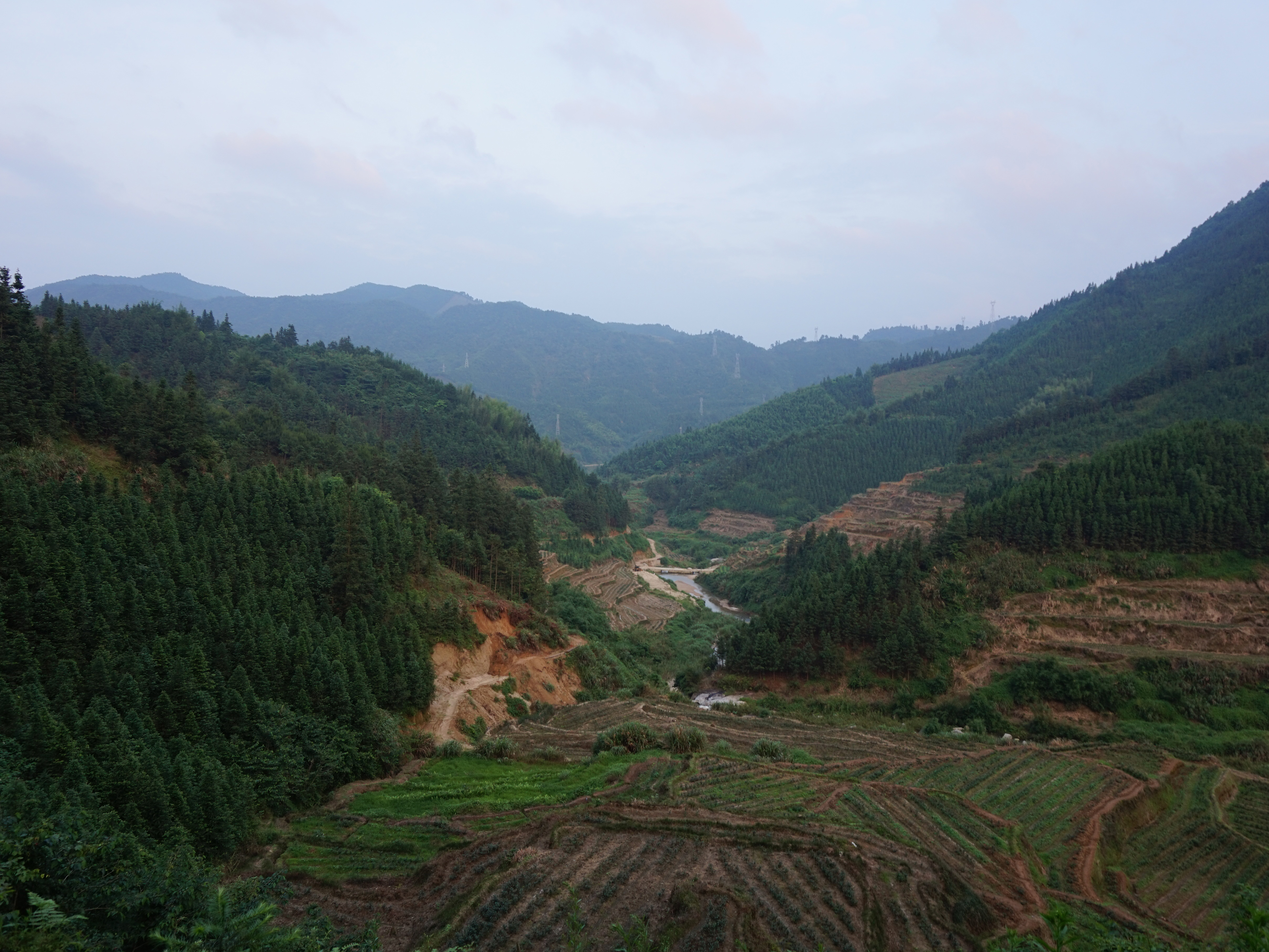 天堂岭自然保护区