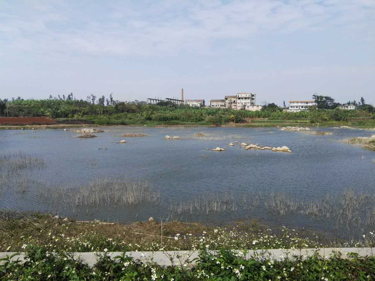 中村水库