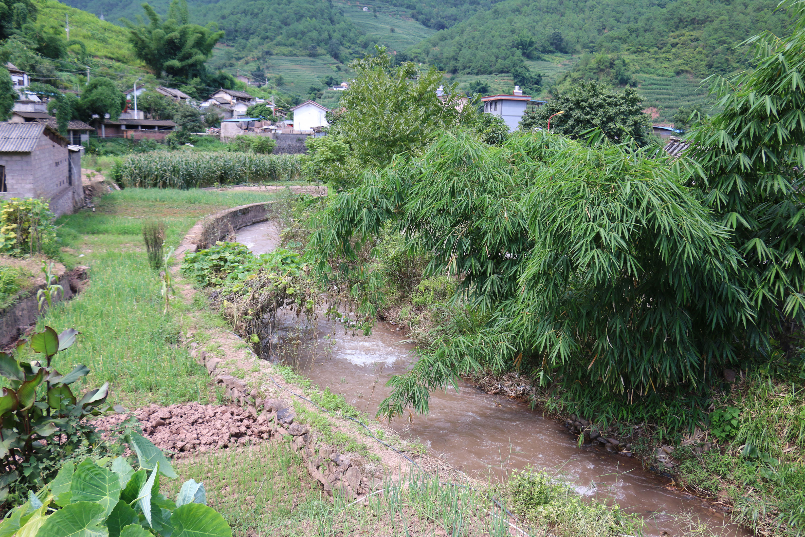 义昌河