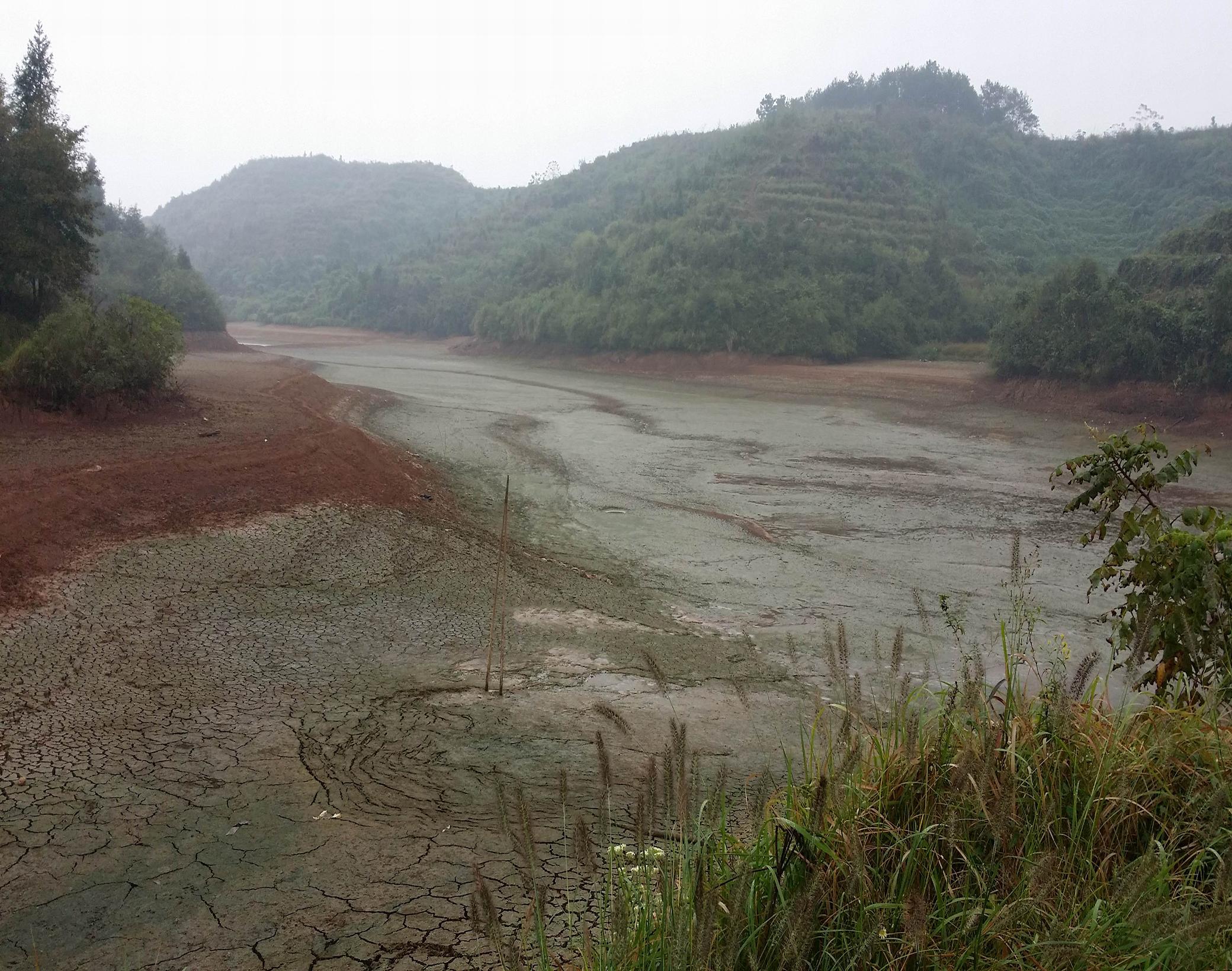 鲤鱼塘水库