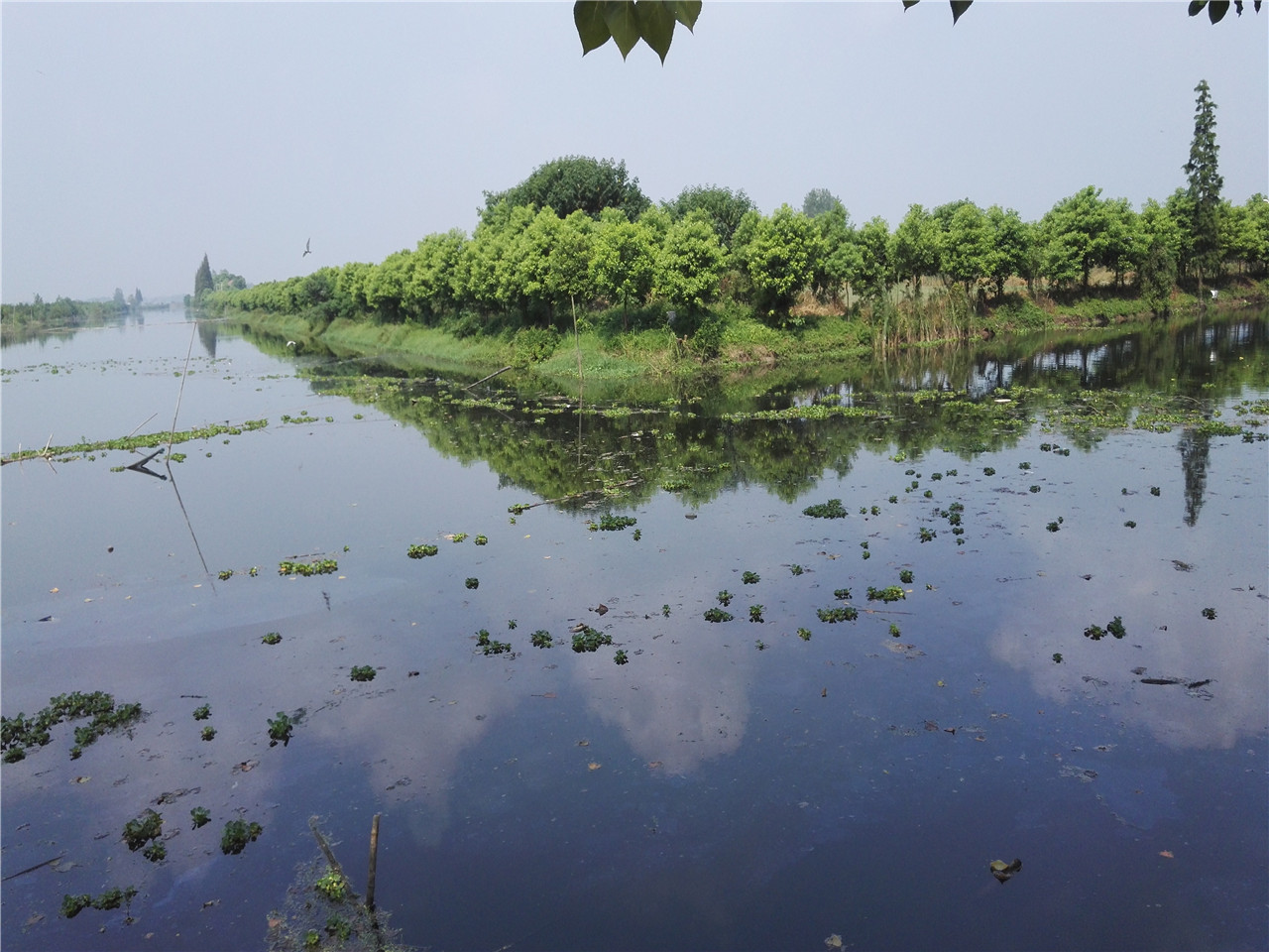 回流湾