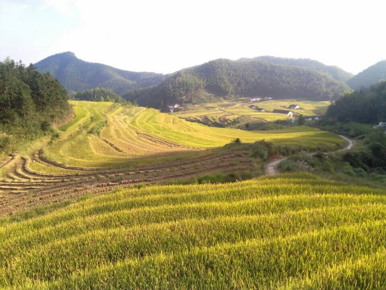 高任梯田