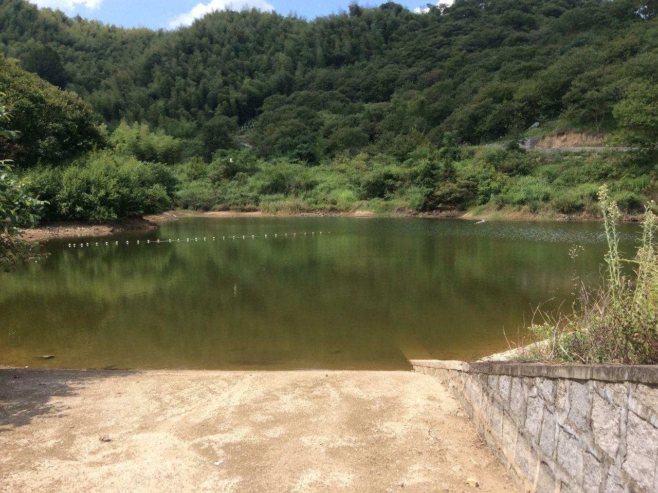 凤桐岩山塘