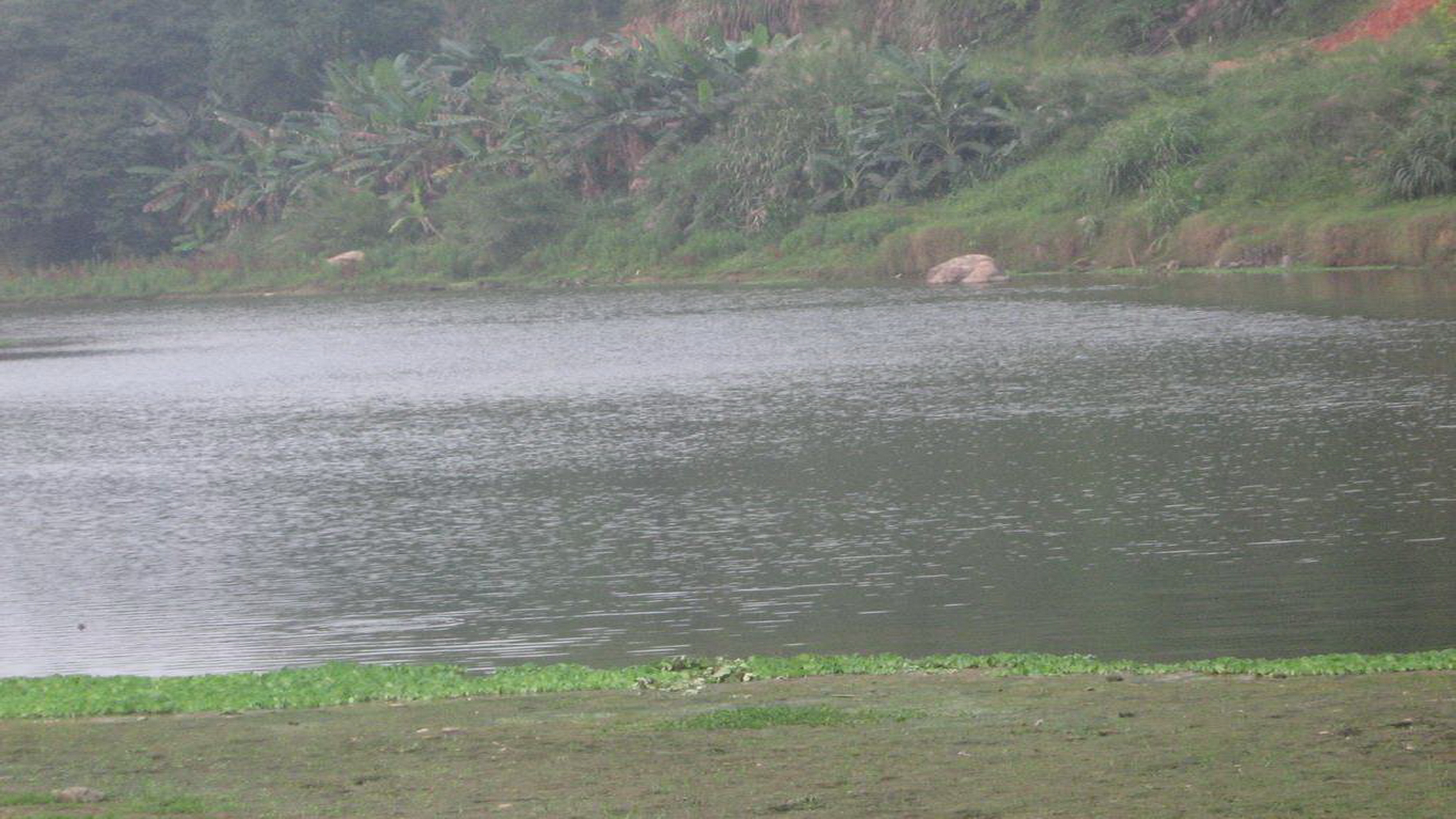 亮水泡