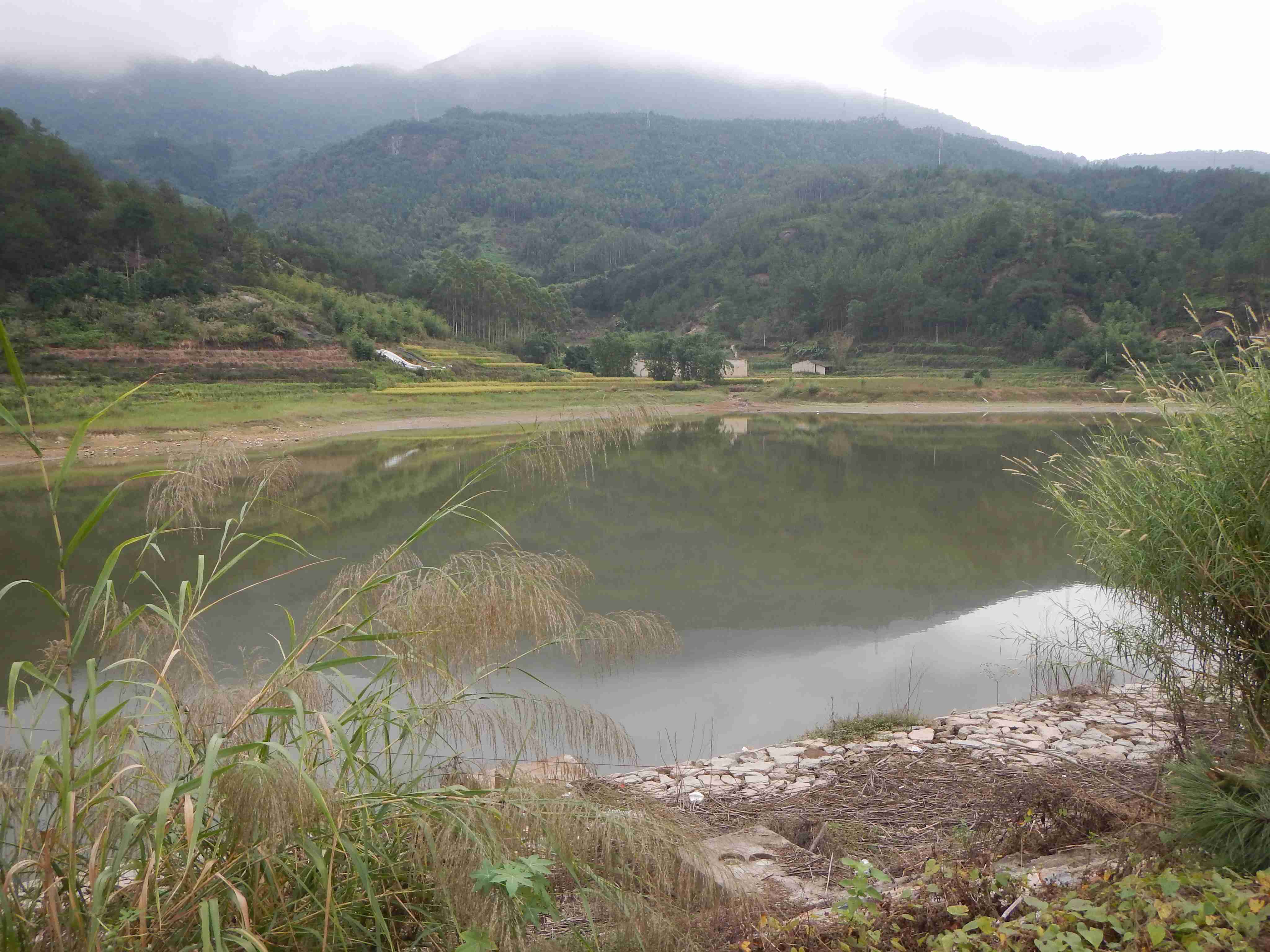 后坑里水库