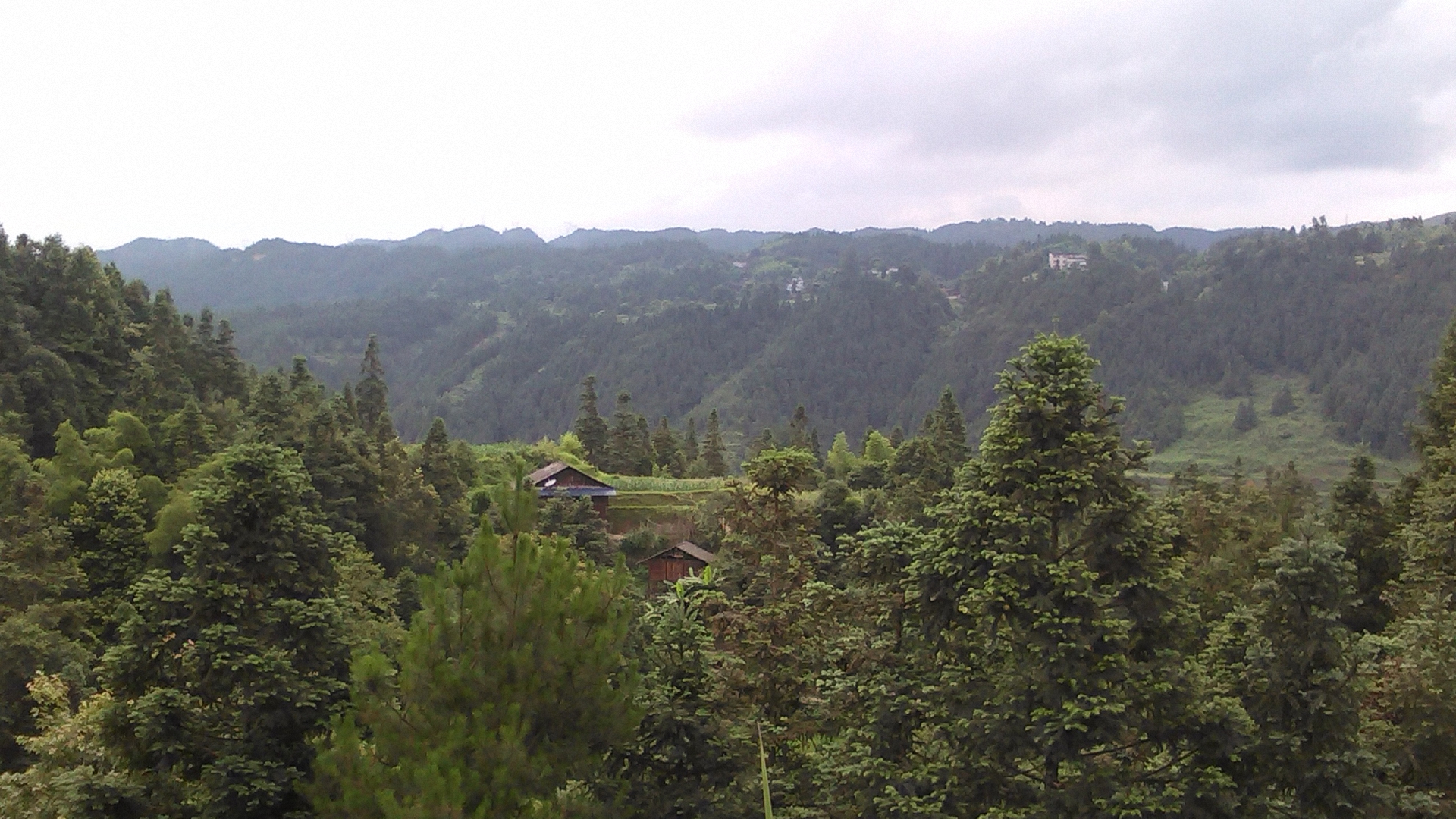 雷公山自然保护区