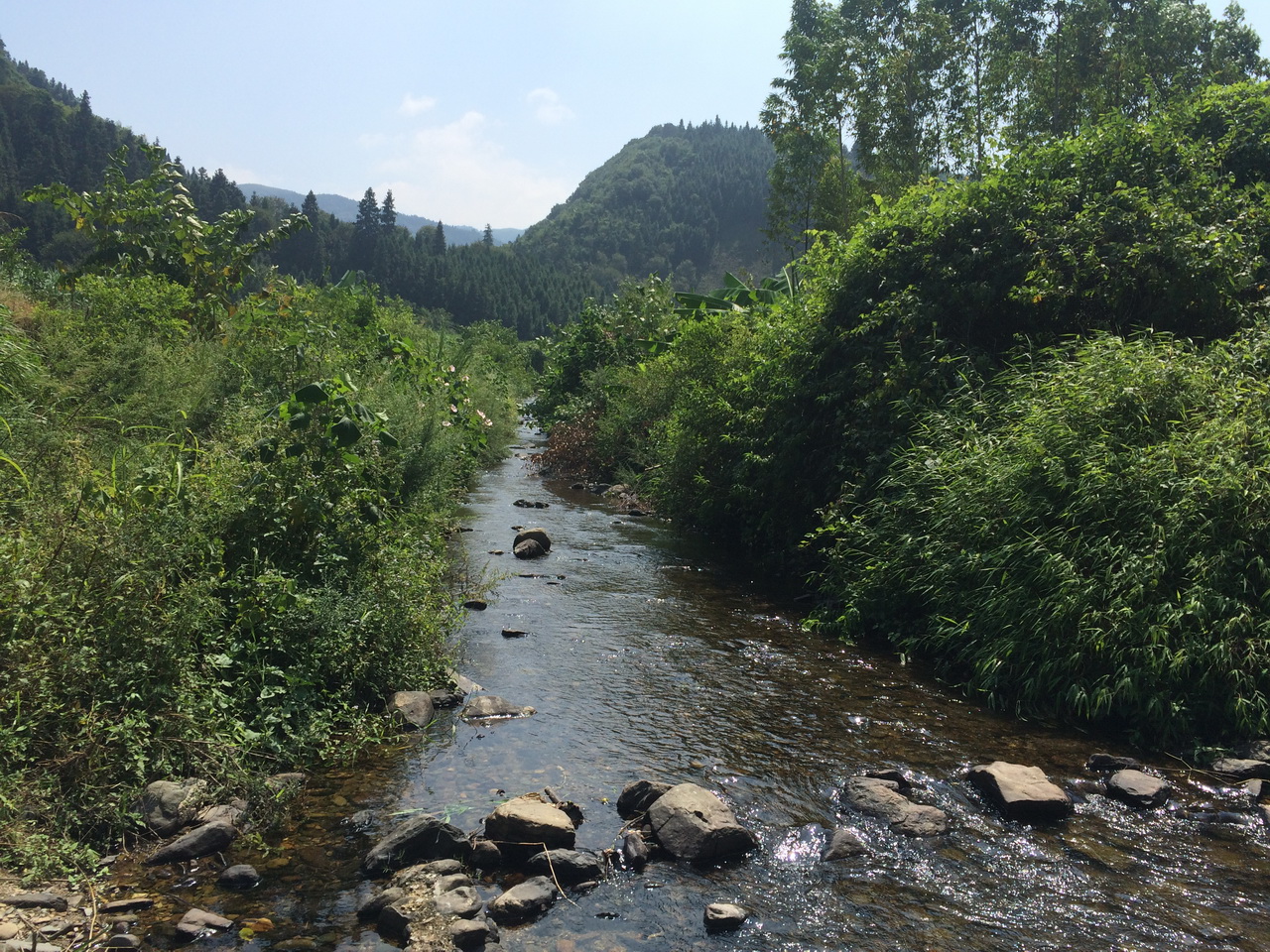 大山溪