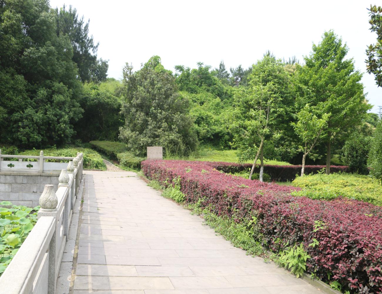 杨梅公园