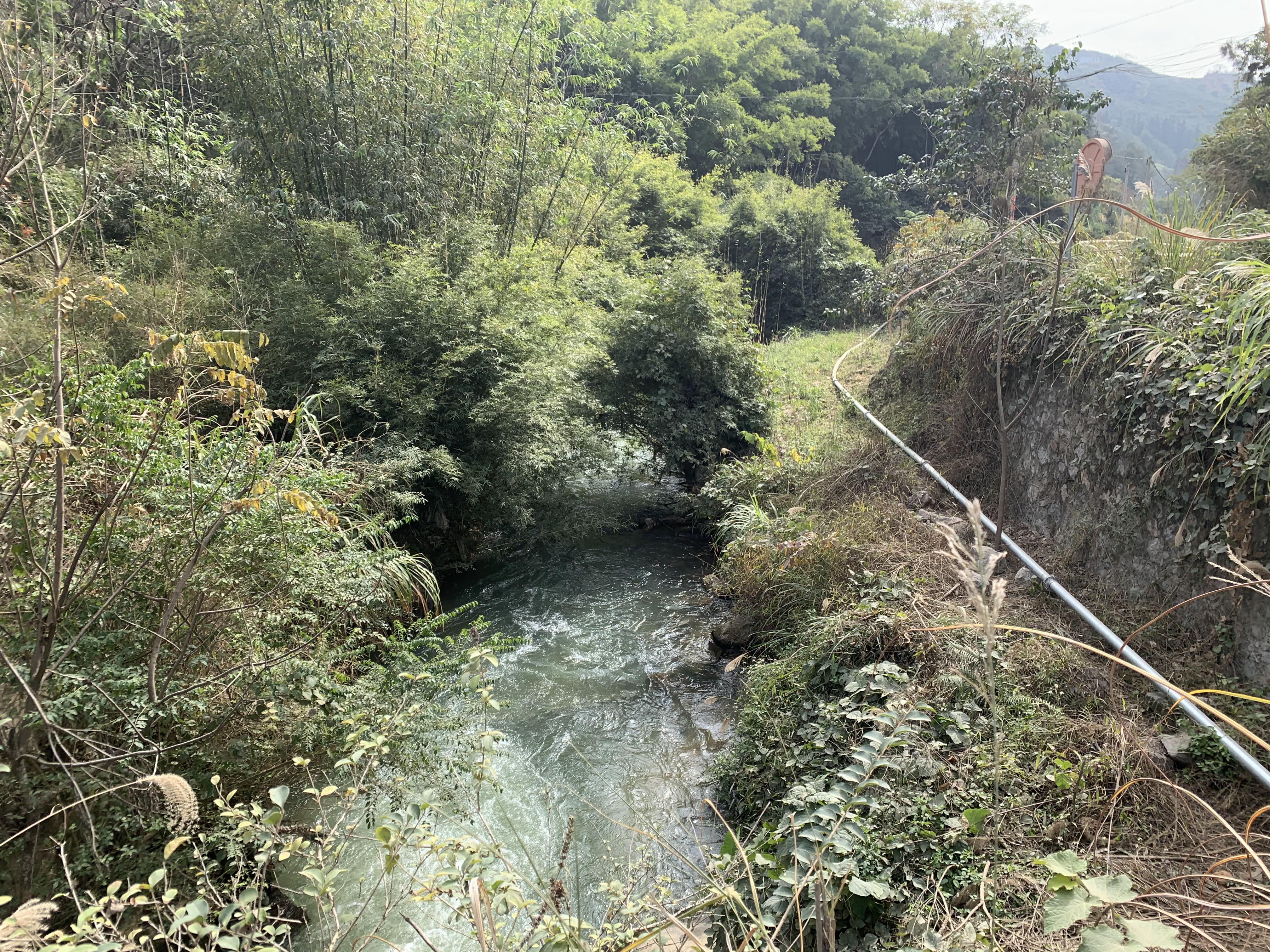 板冠河