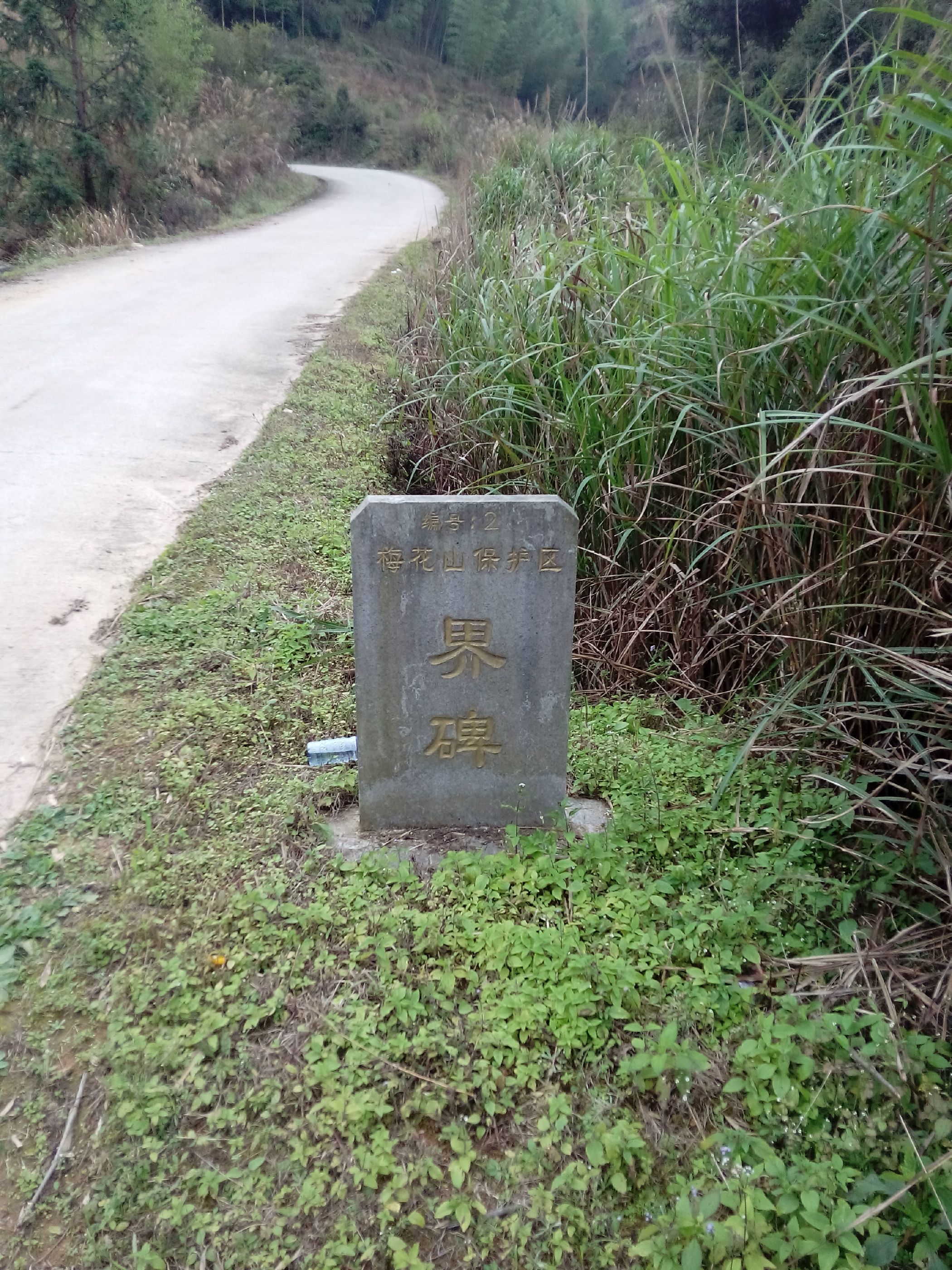 福建梅花山国家级自然保护区