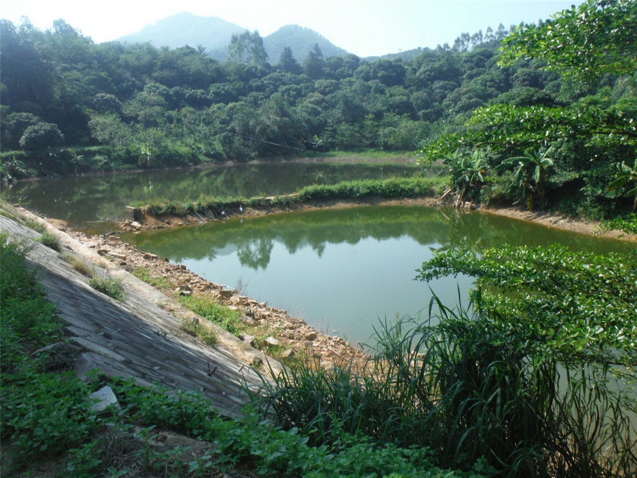 福坑内水库