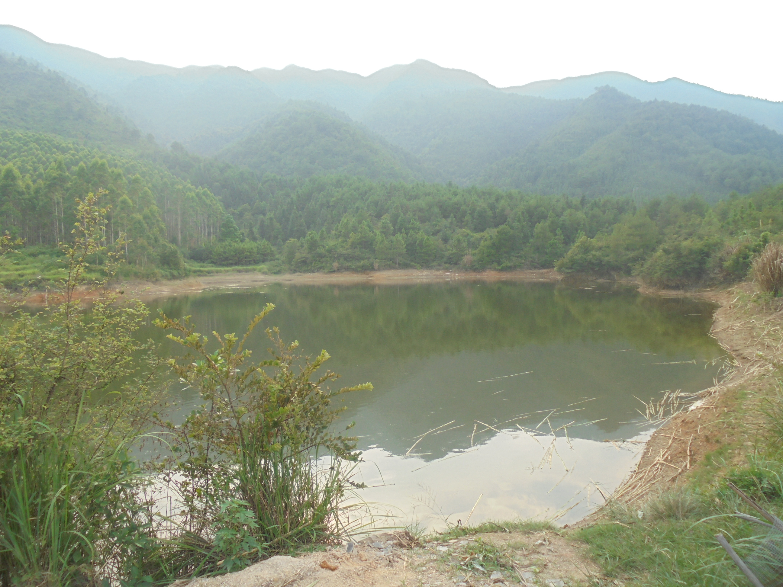 油榨冲水库