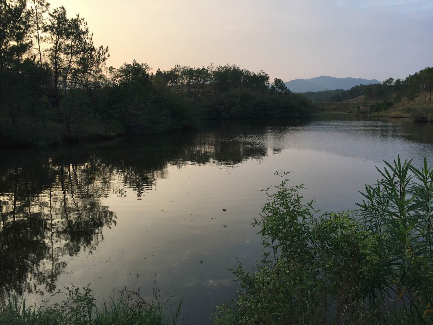 大坦湖水库