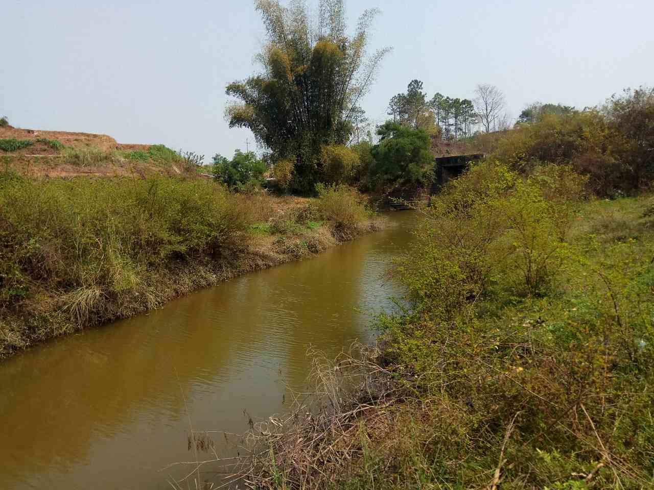 州同江
