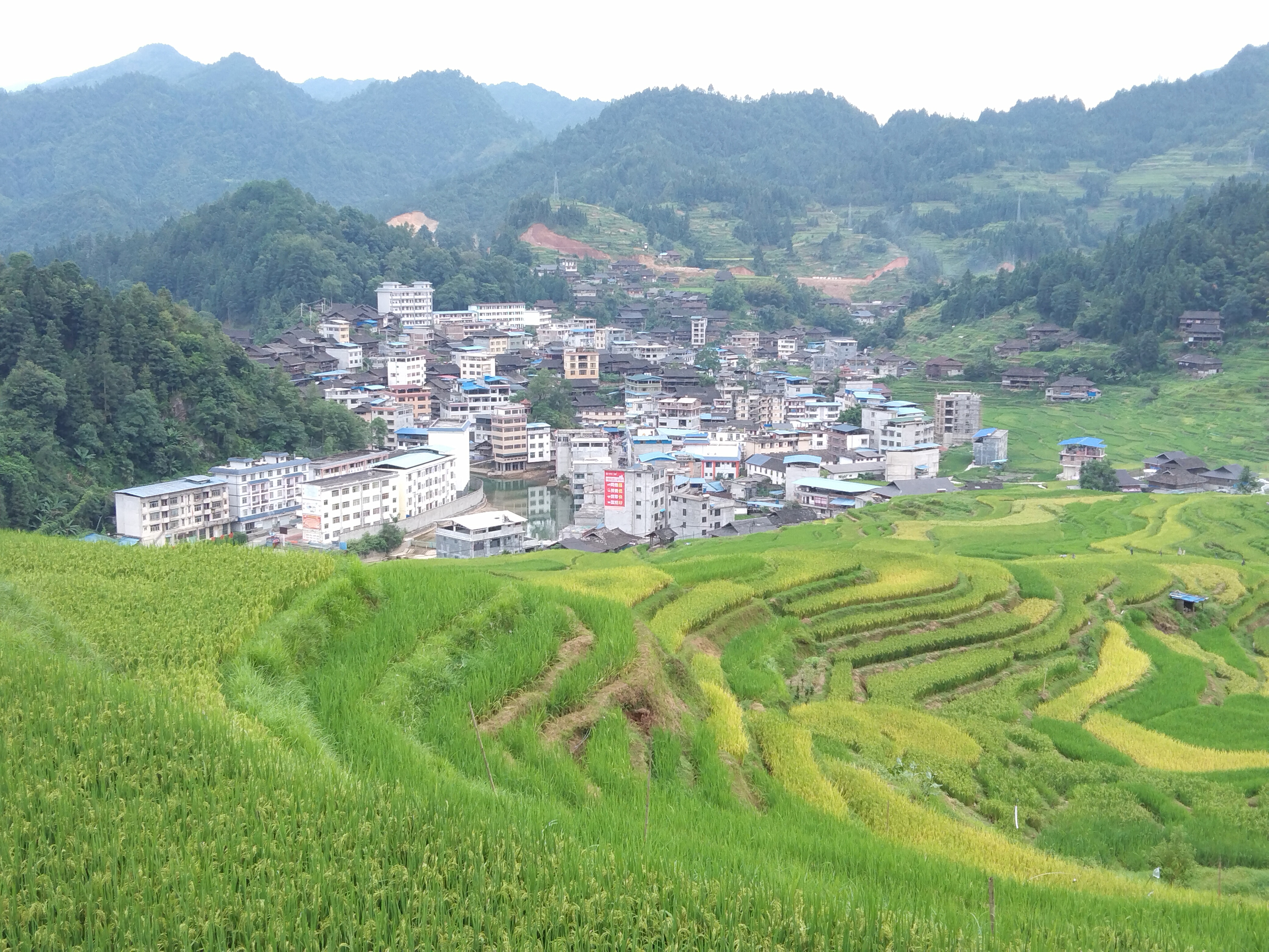 杆洞乡