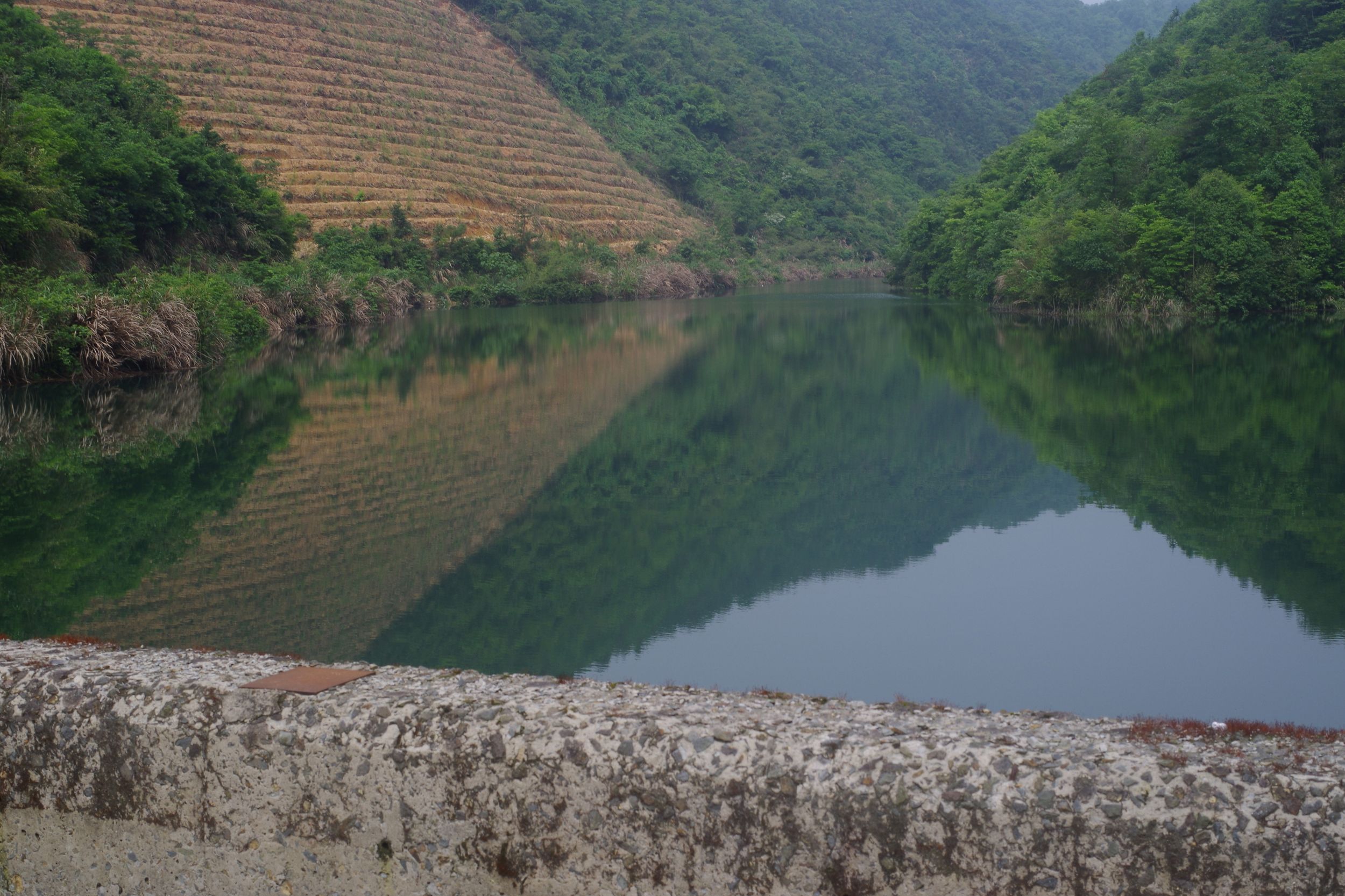 野坞水库