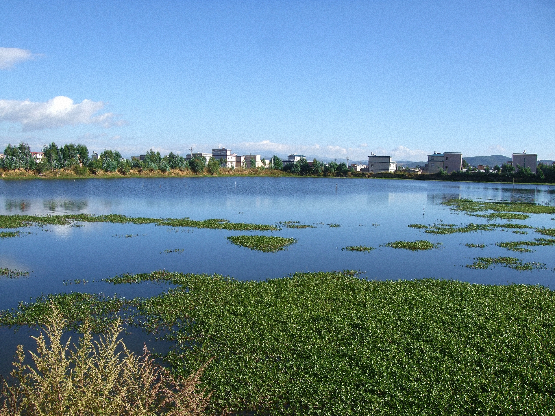 赵营花树海水库