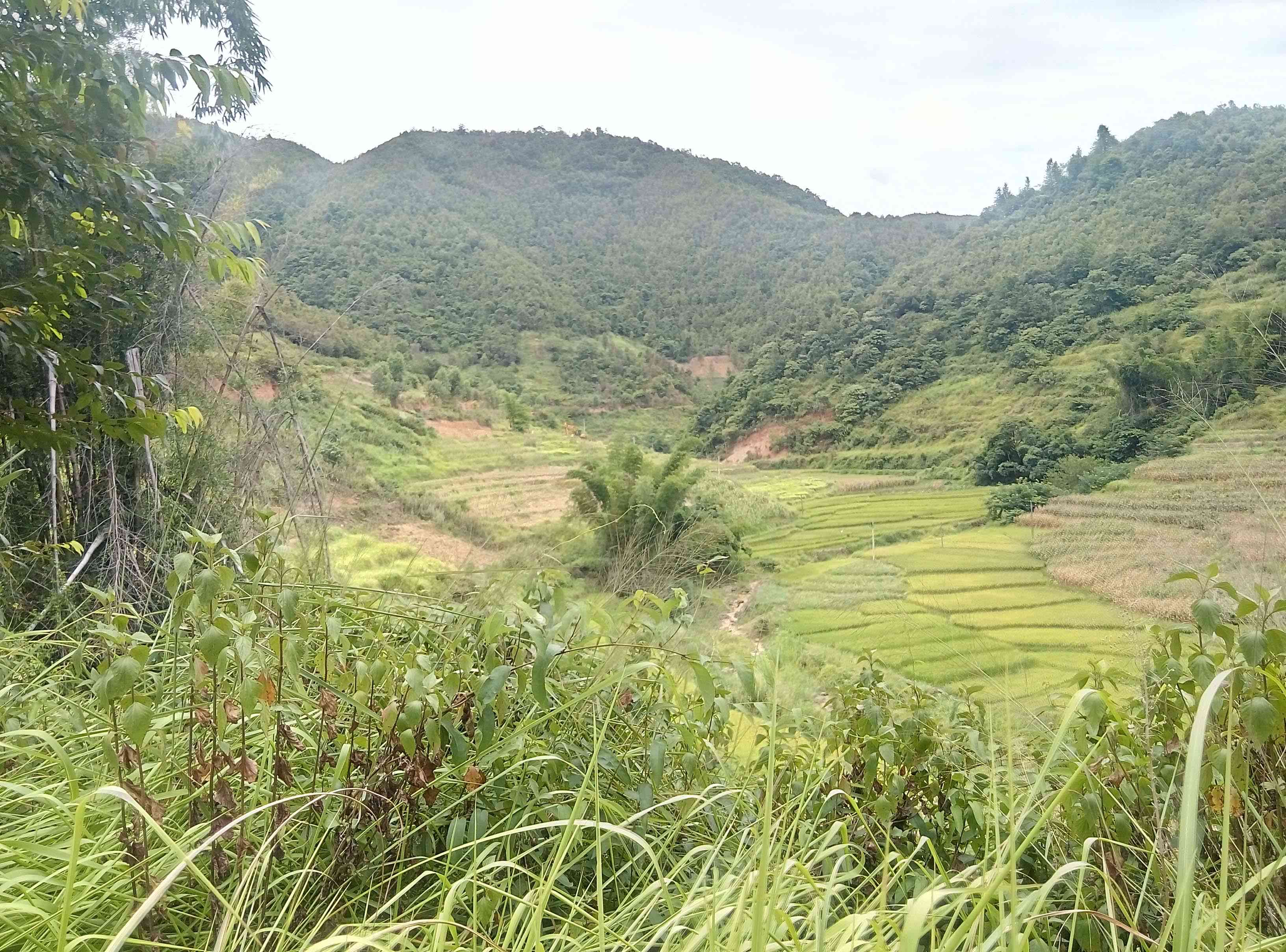 那眉水库