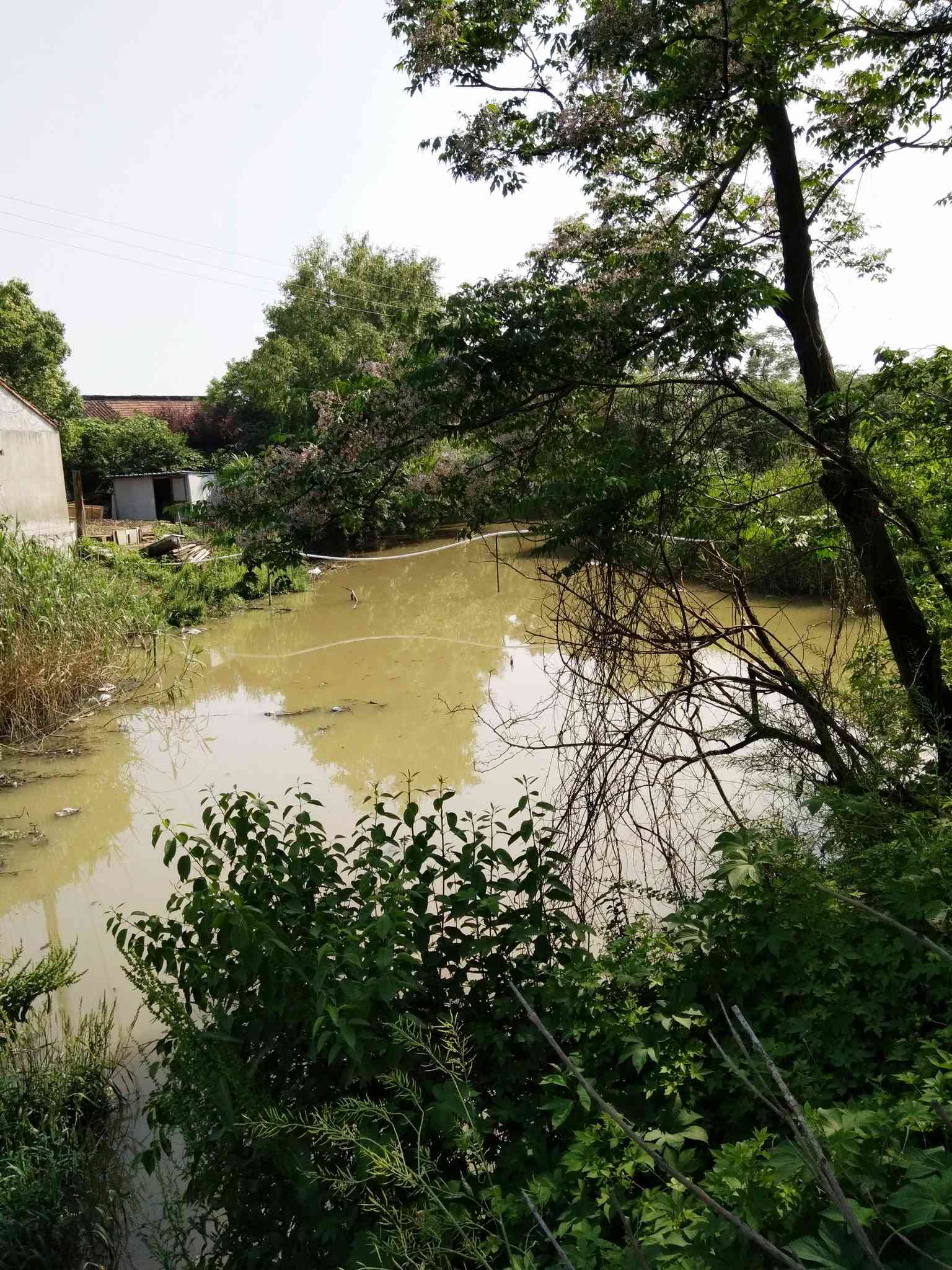 社桥站引水河