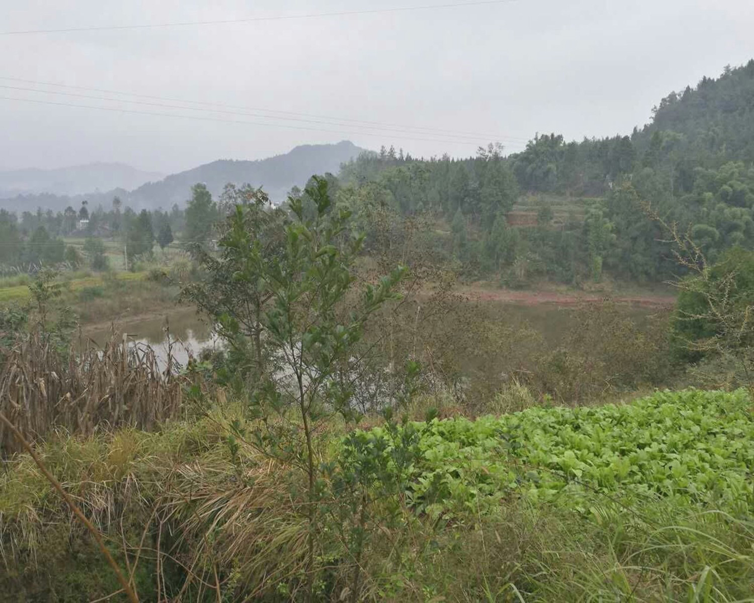 王家湾水库