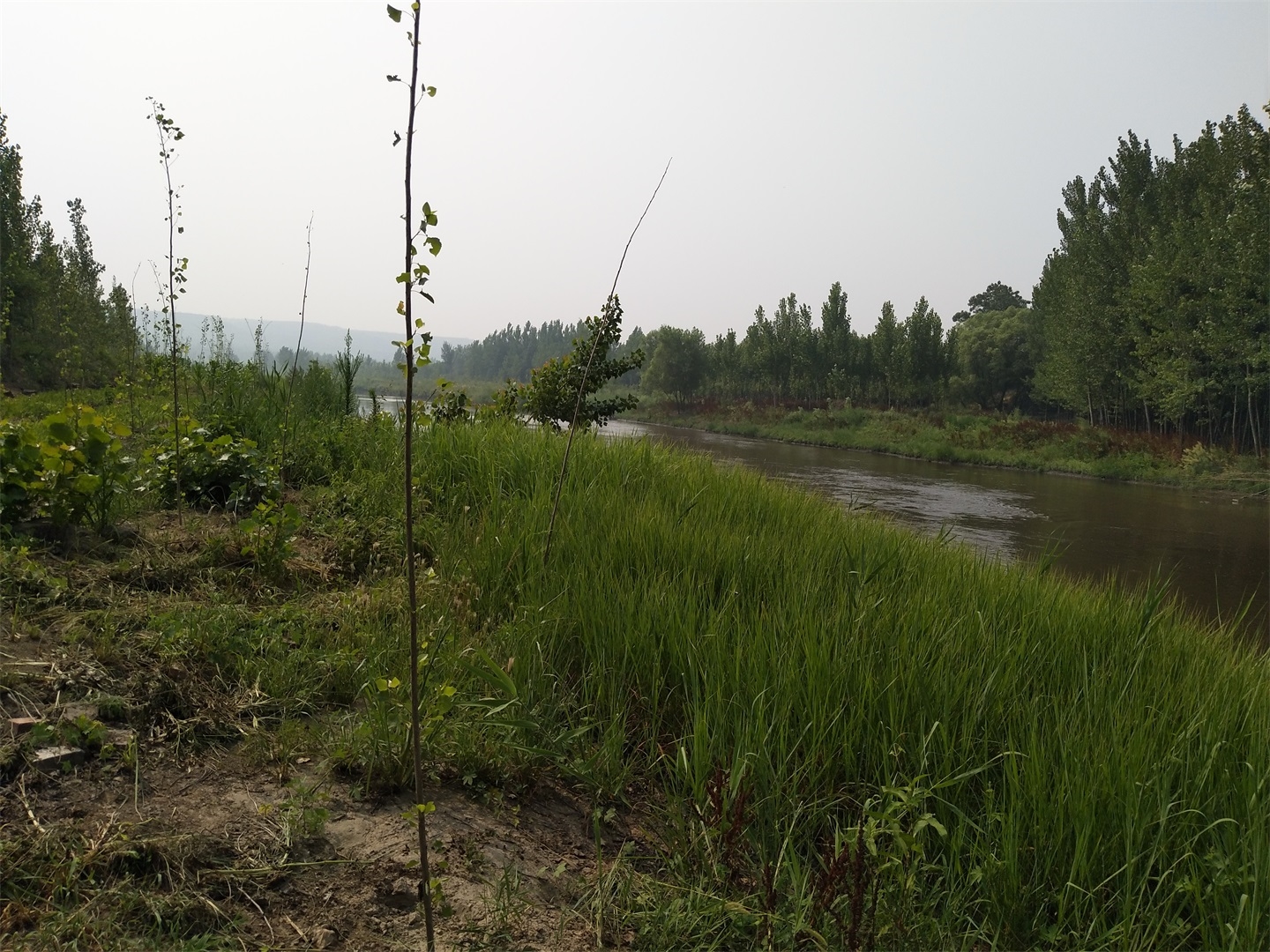 丁村河湾